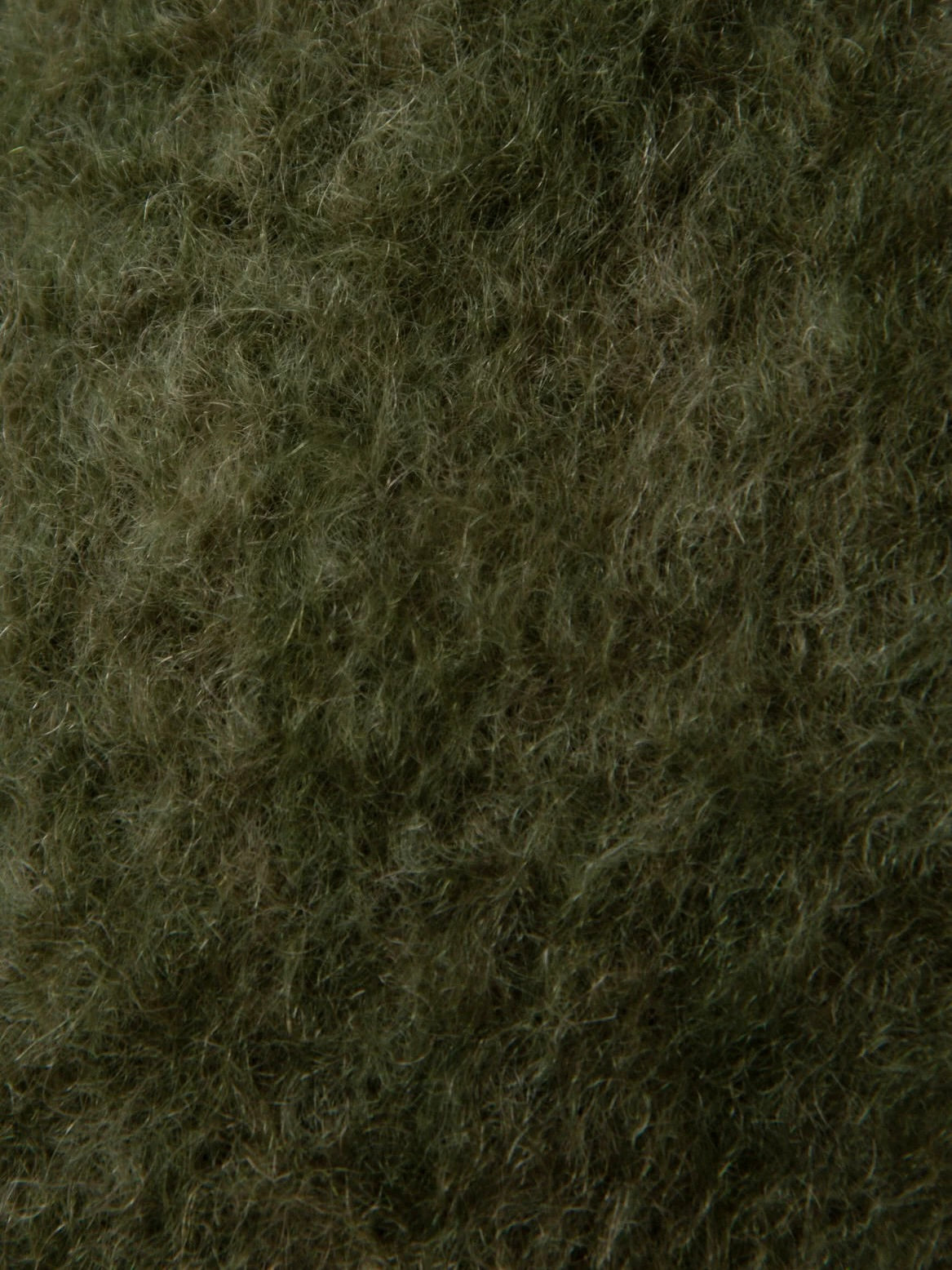 ARBOR MOSS — close-up