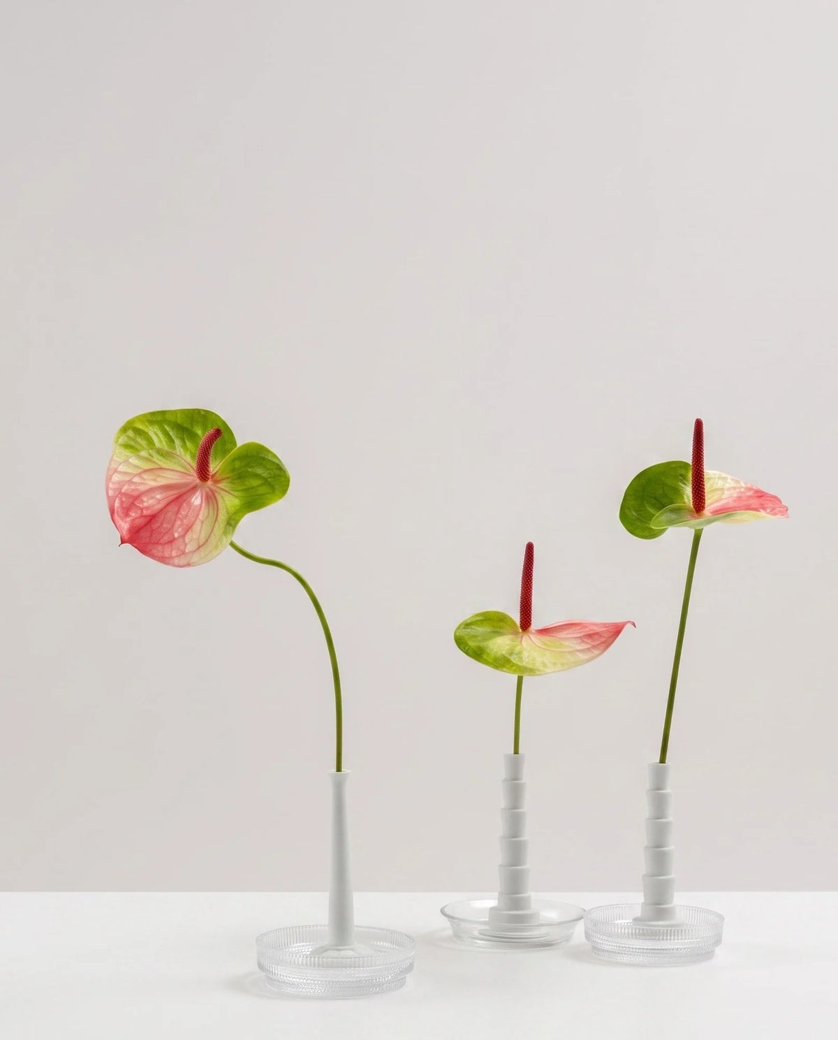 Miniflore Single Flower Vase by Claude Courtecuisse — additional view
