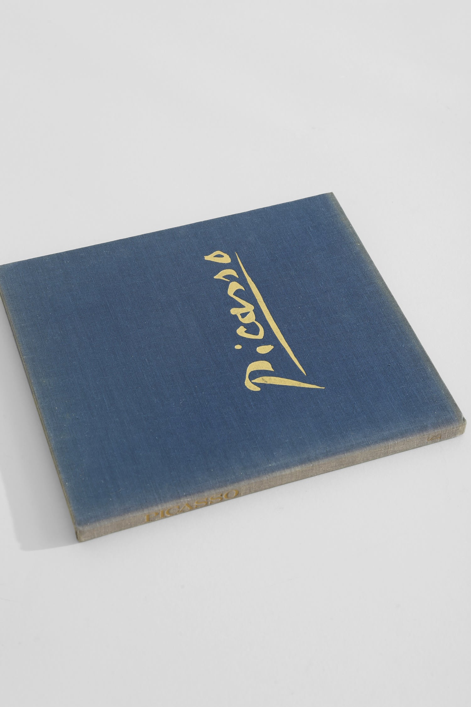 Picasso Book — alternate view