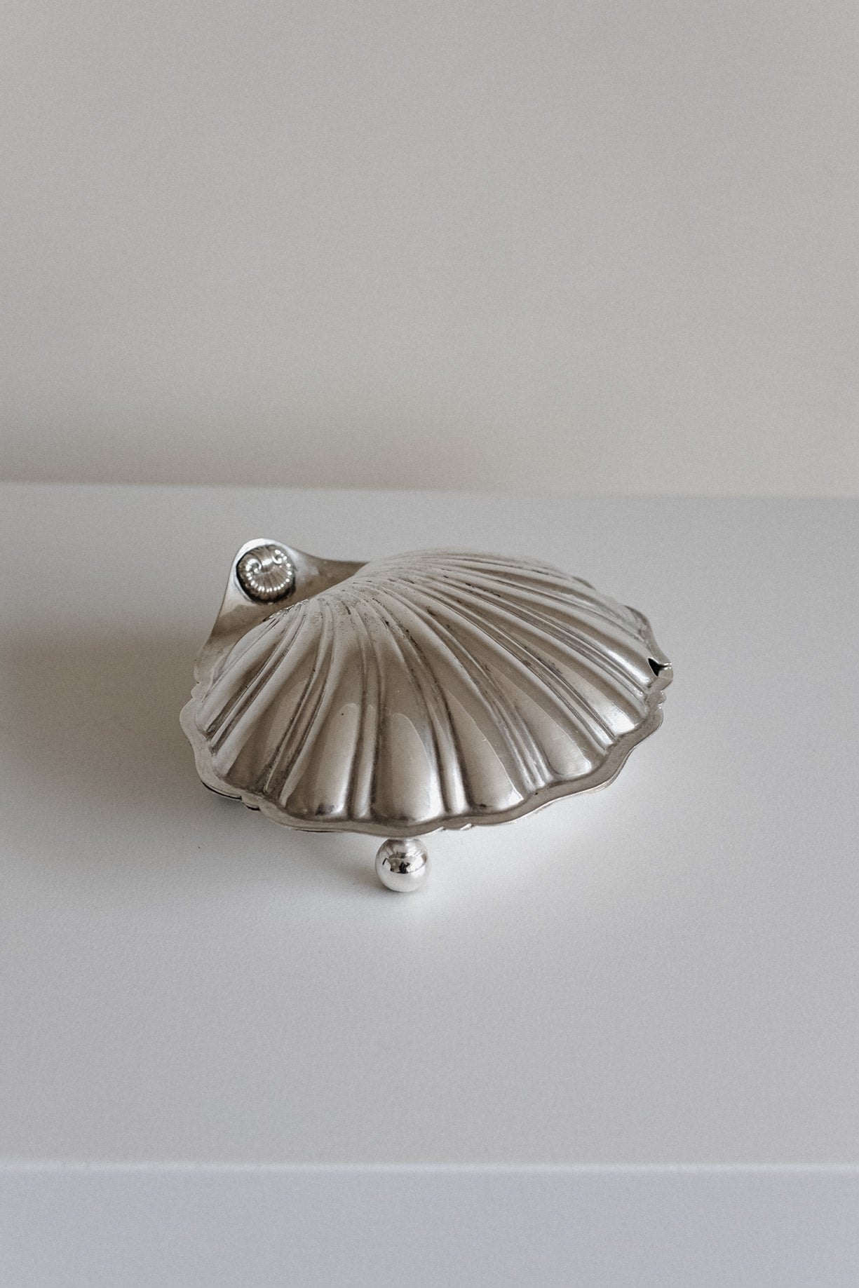 Large Shell Shaped Dish — side angle showing textured silver surface