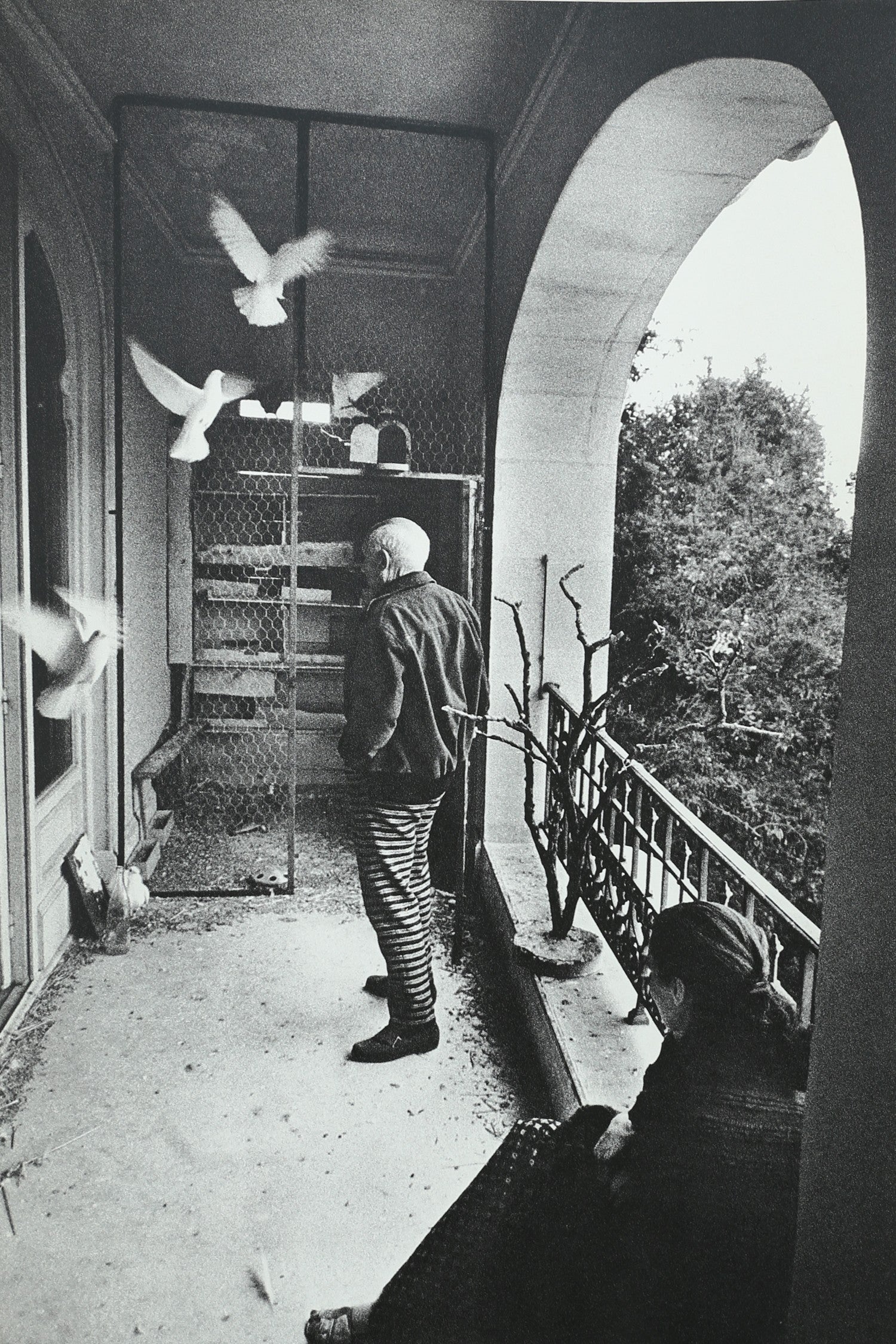 Goodbye Picasso Book — view 10