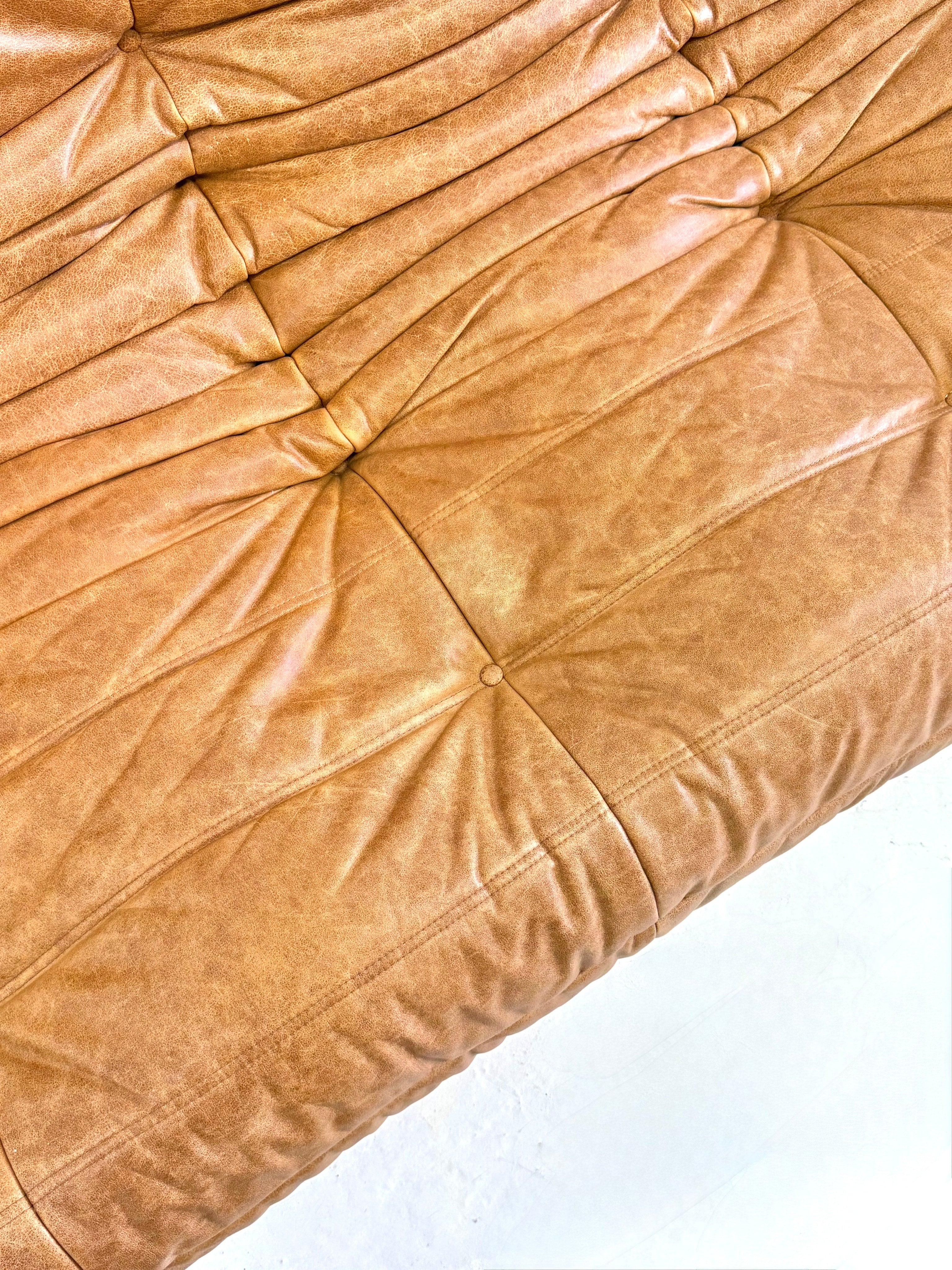 Ligne Roset Togo 3-seater in cognac leather — view 11
