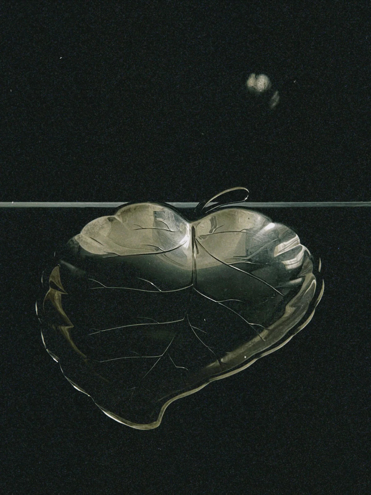Silver leaf-shaped decorative dish floating on dark water surface