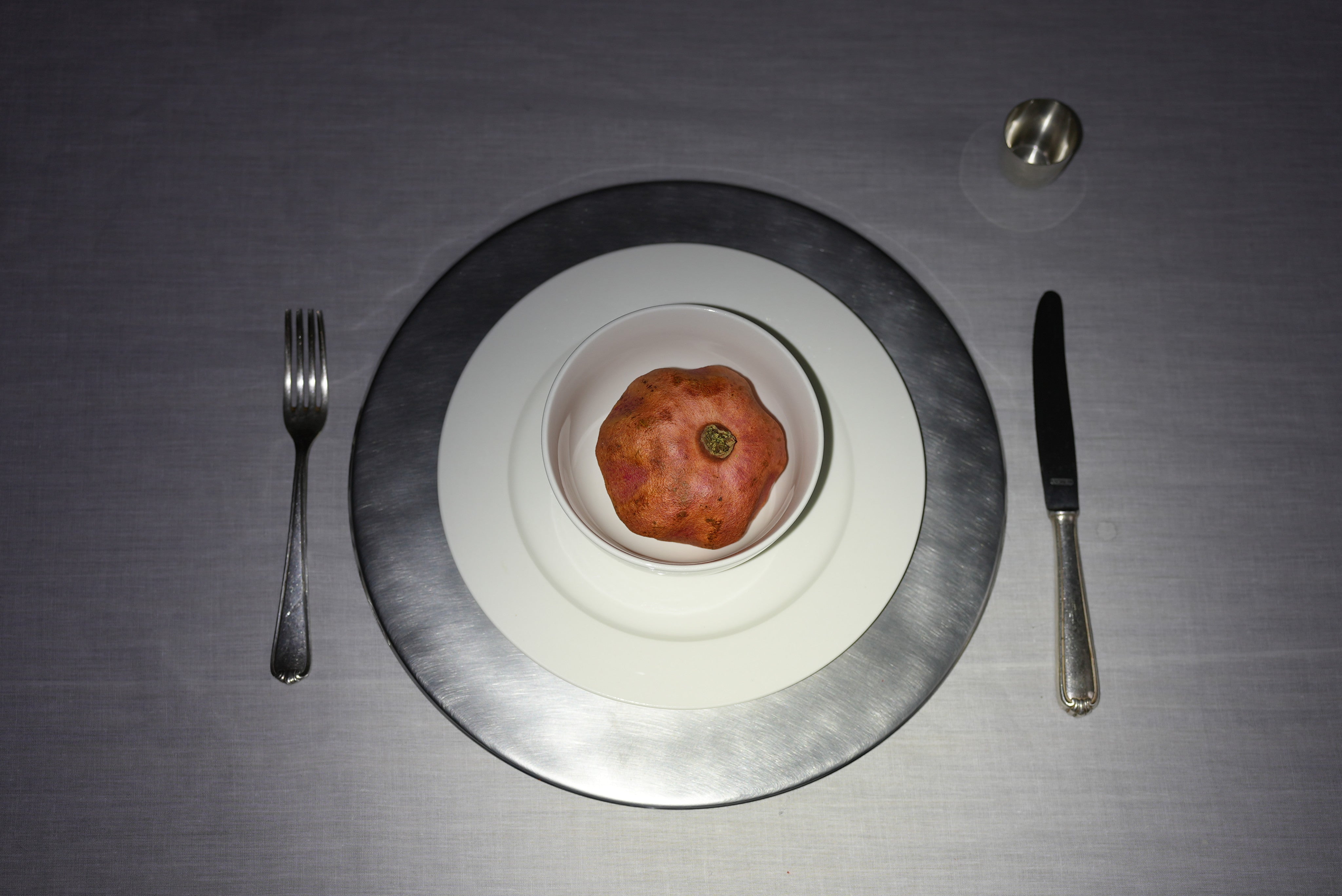 TRACES — Stainless Steel Plates — in context