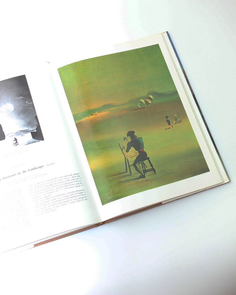Dali Book — close-up of colorful artwork on open page
