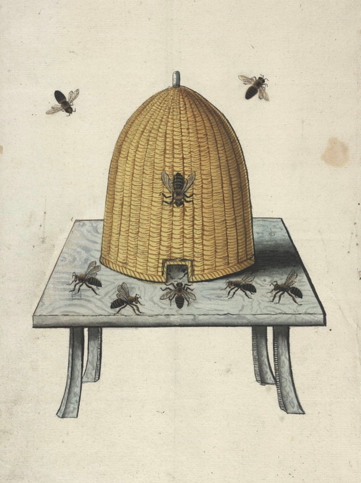 'Skep' Pendant Light