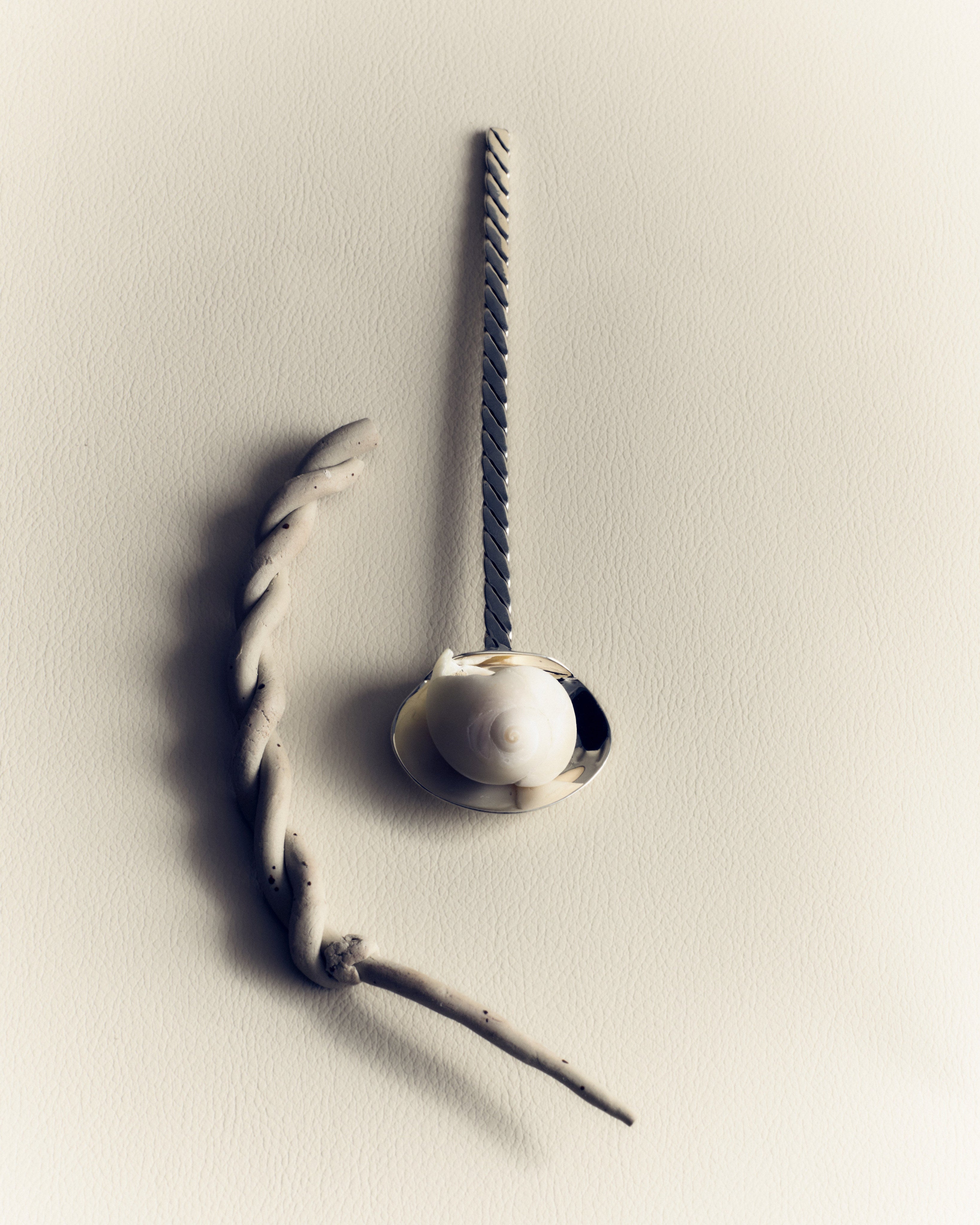 Silver Spoon & Fork — detail view