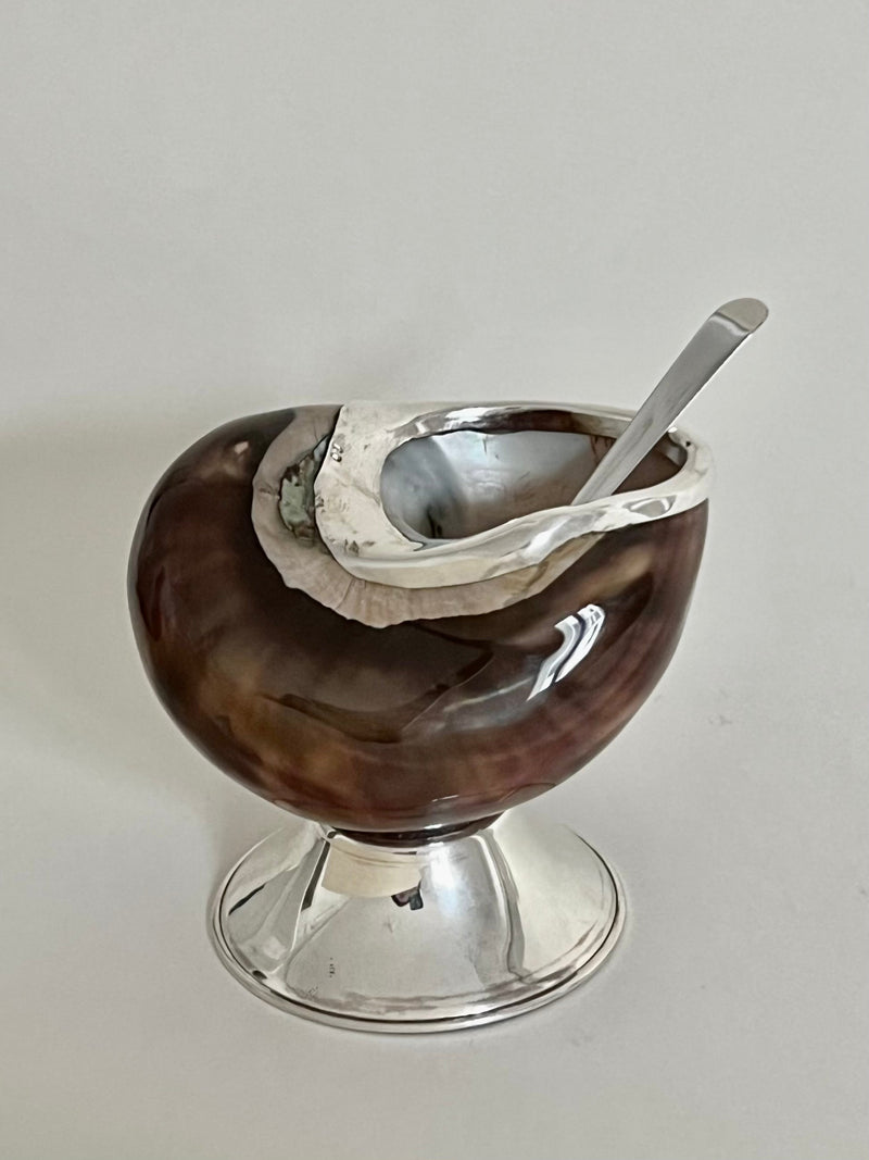 Imperialis Shell Sugar Bowl by Tavares 1922 | The Oblist — handcrafted shell and silver