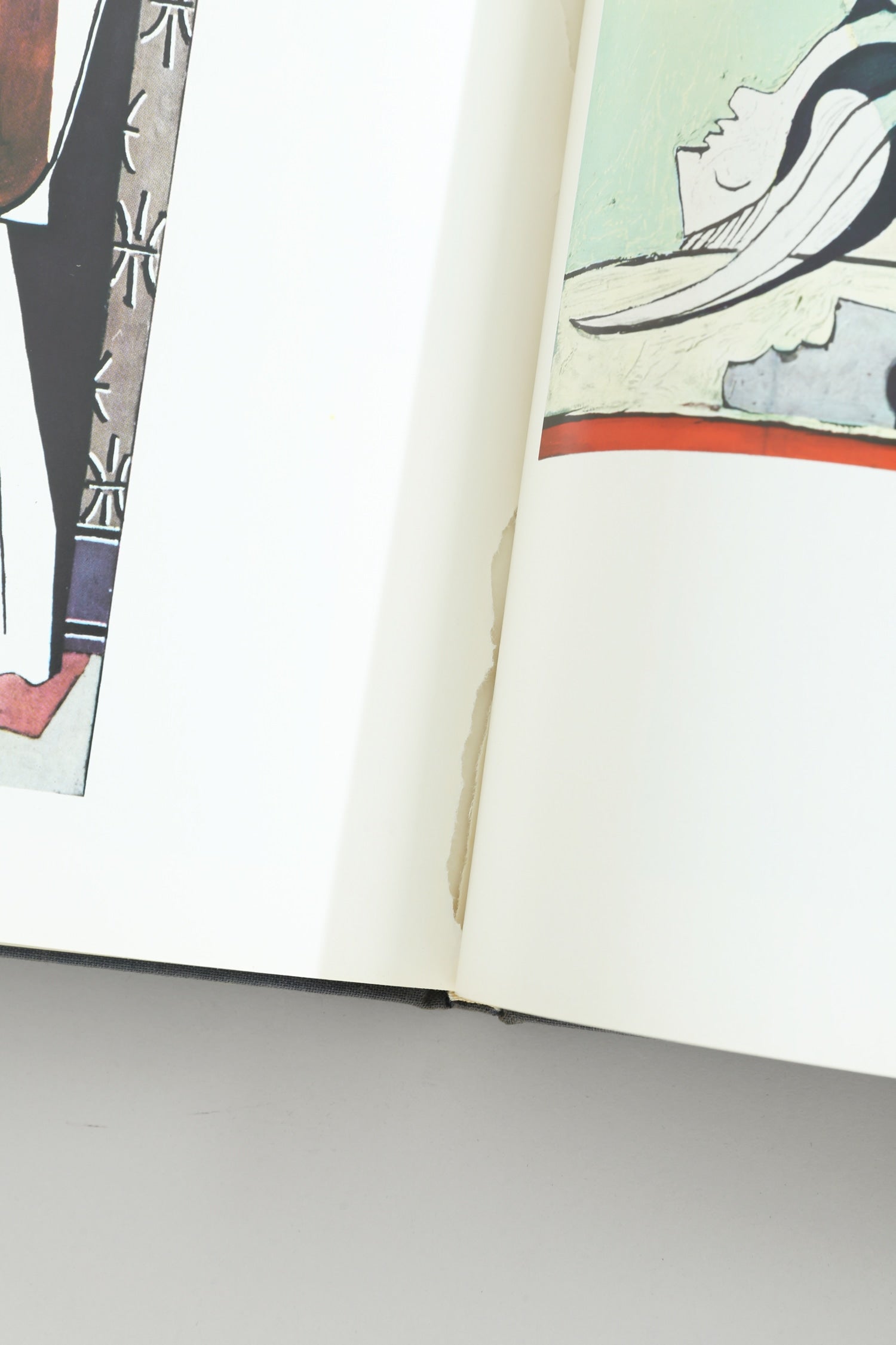 Picasso Book — close-up