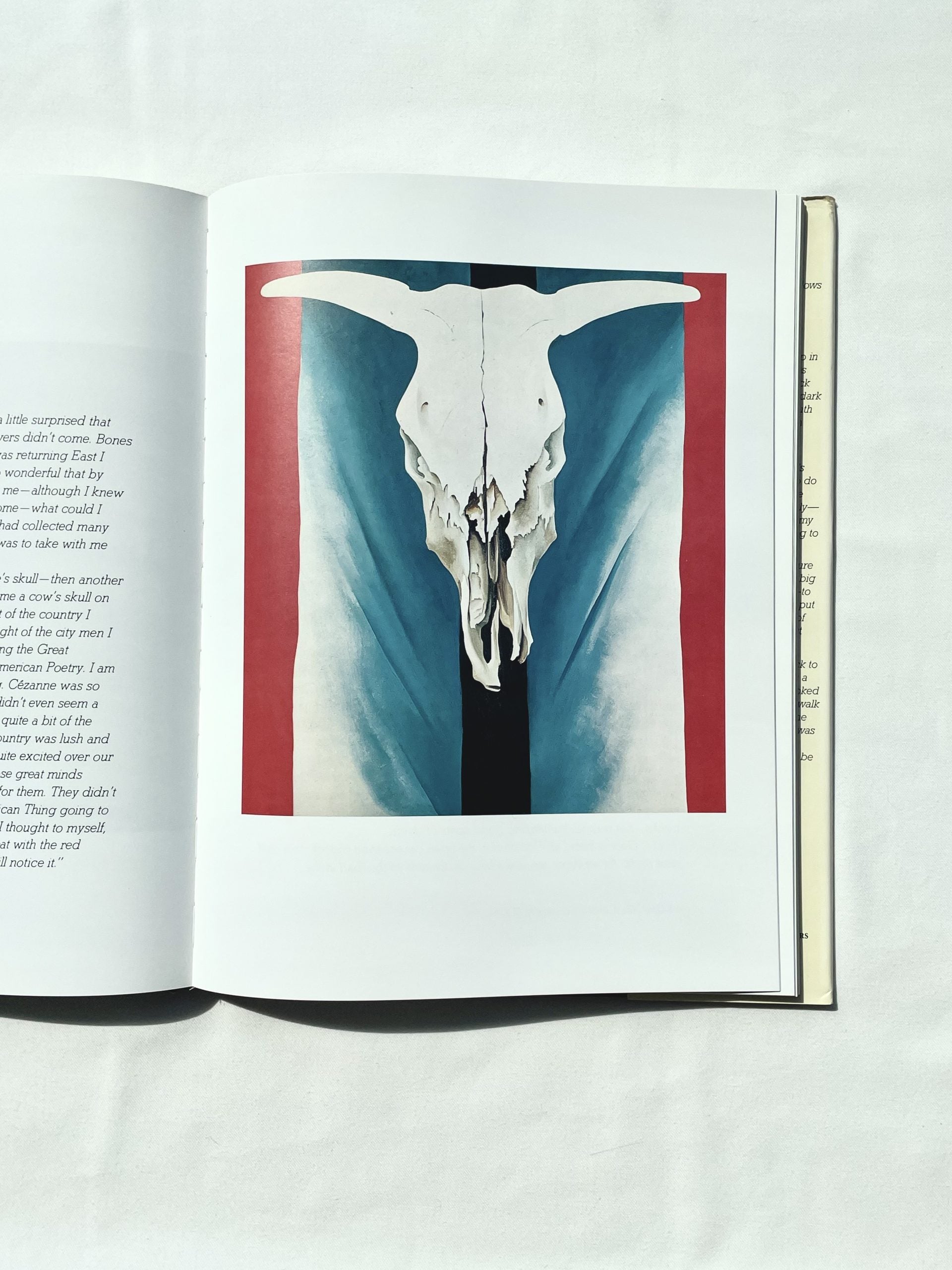 Book Georgia O'Keeffe — side angle