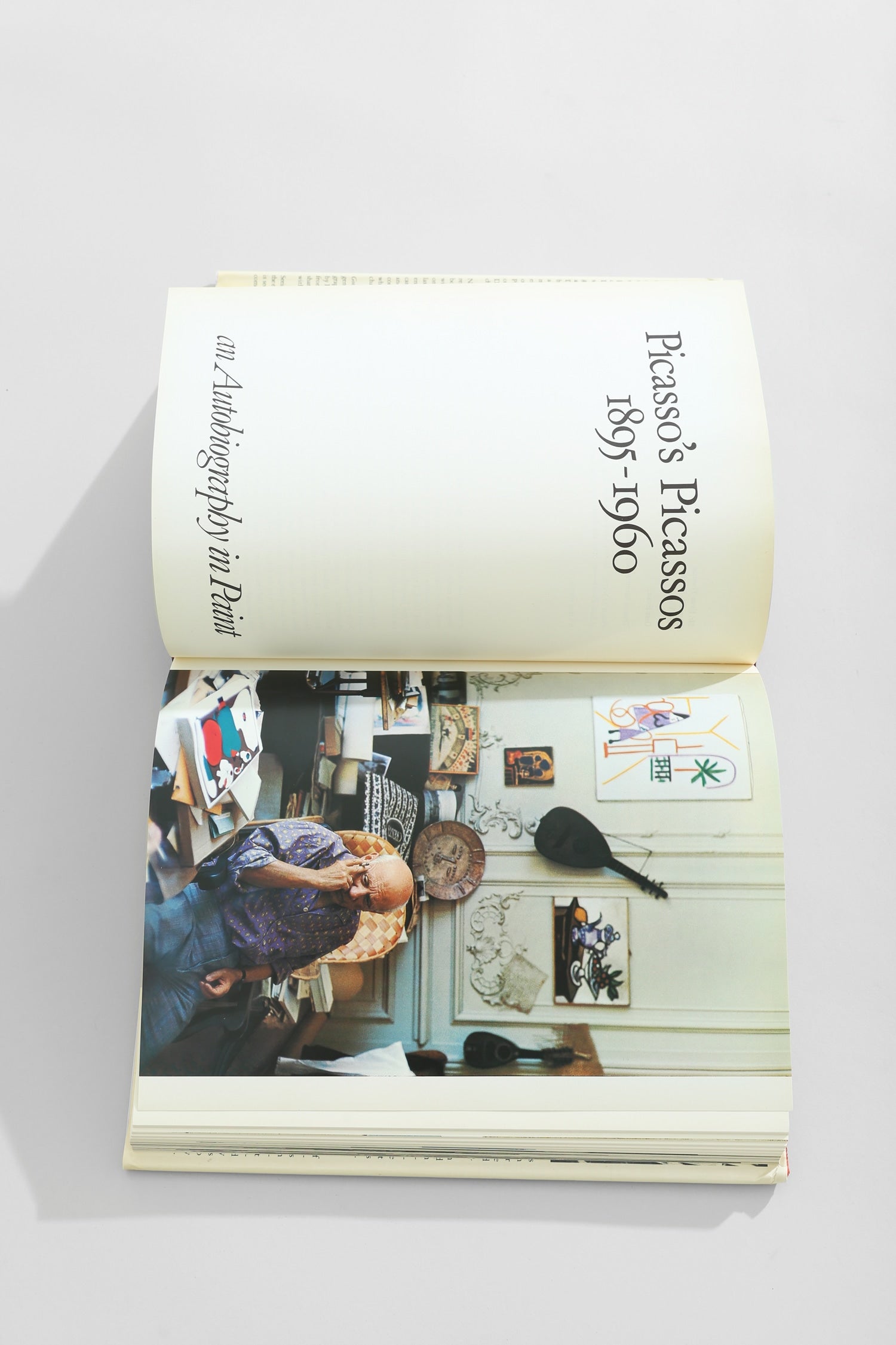 Goodbye Picasso Book — view 9