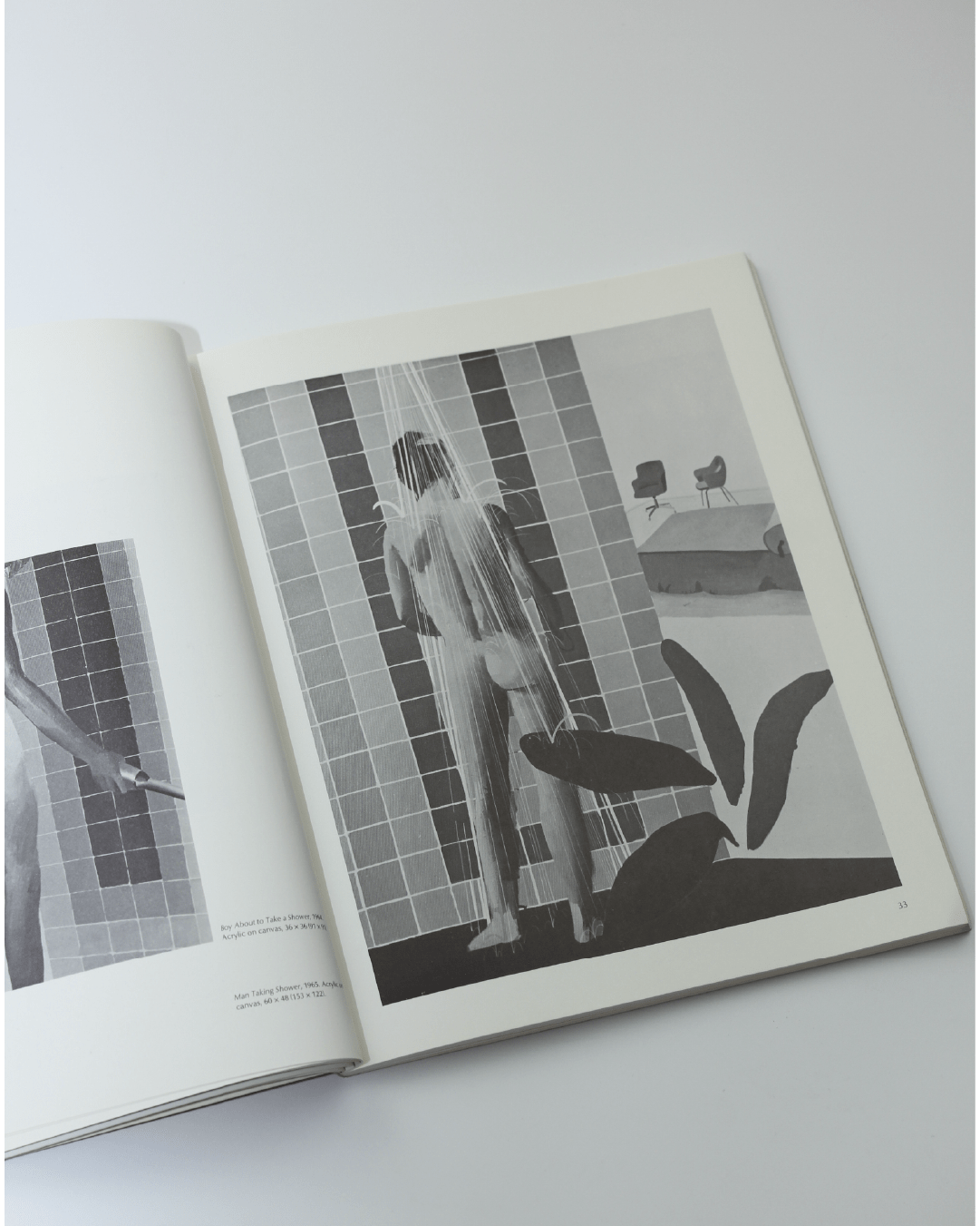Pictures by David Hockney — open book on white surface