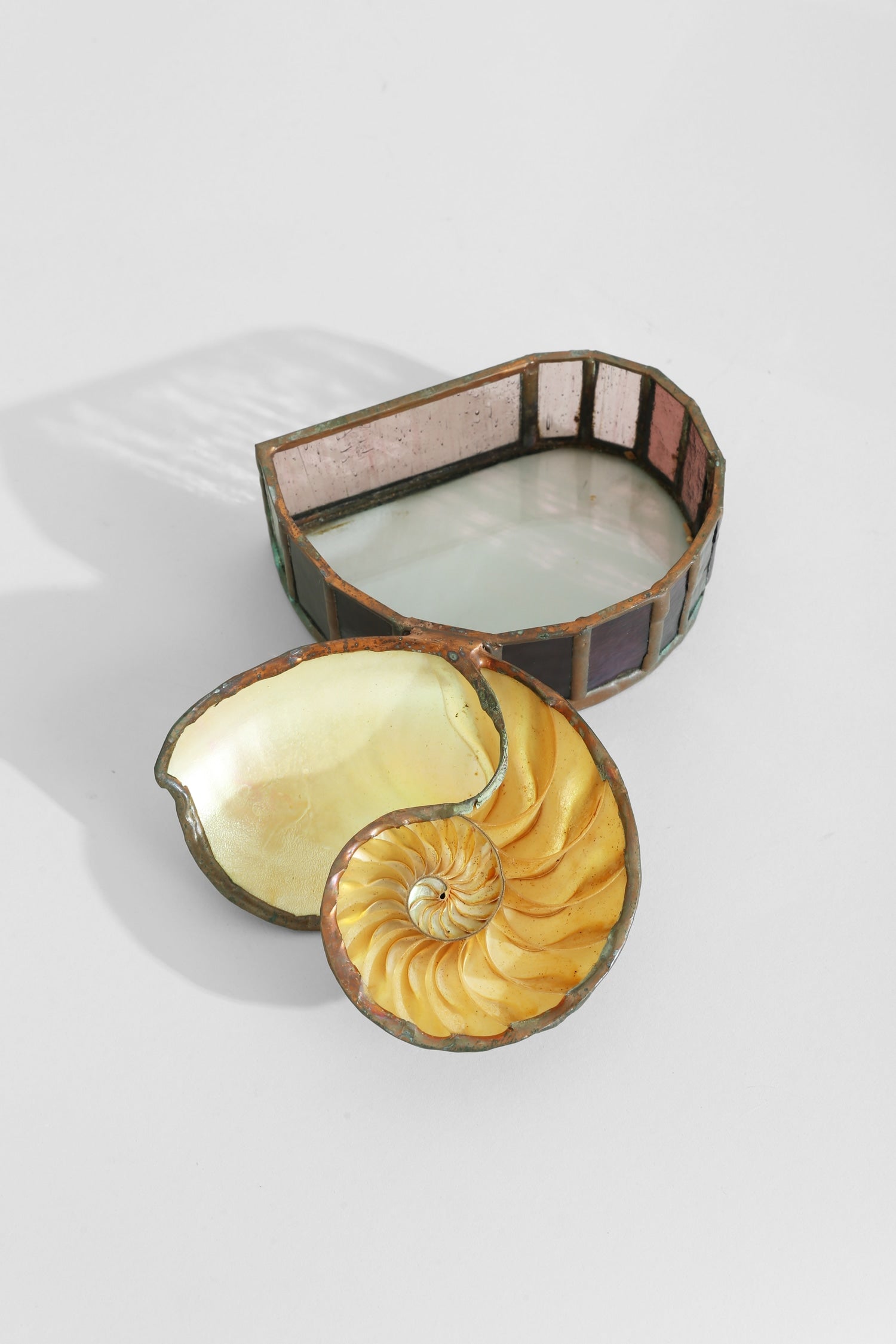 Nautilus Shell Jewelry Box — close-up