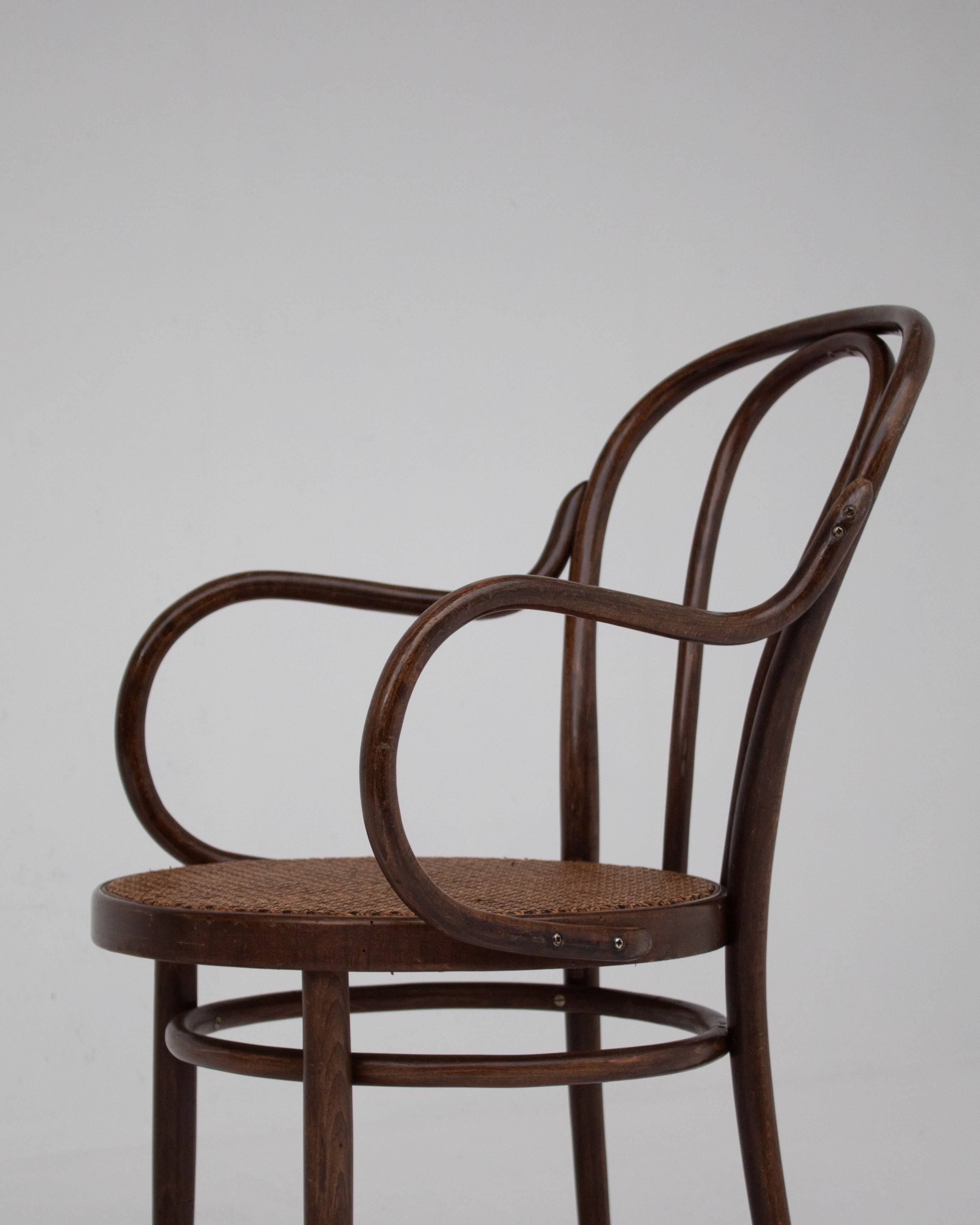 Set of Chair in Wood and Beech