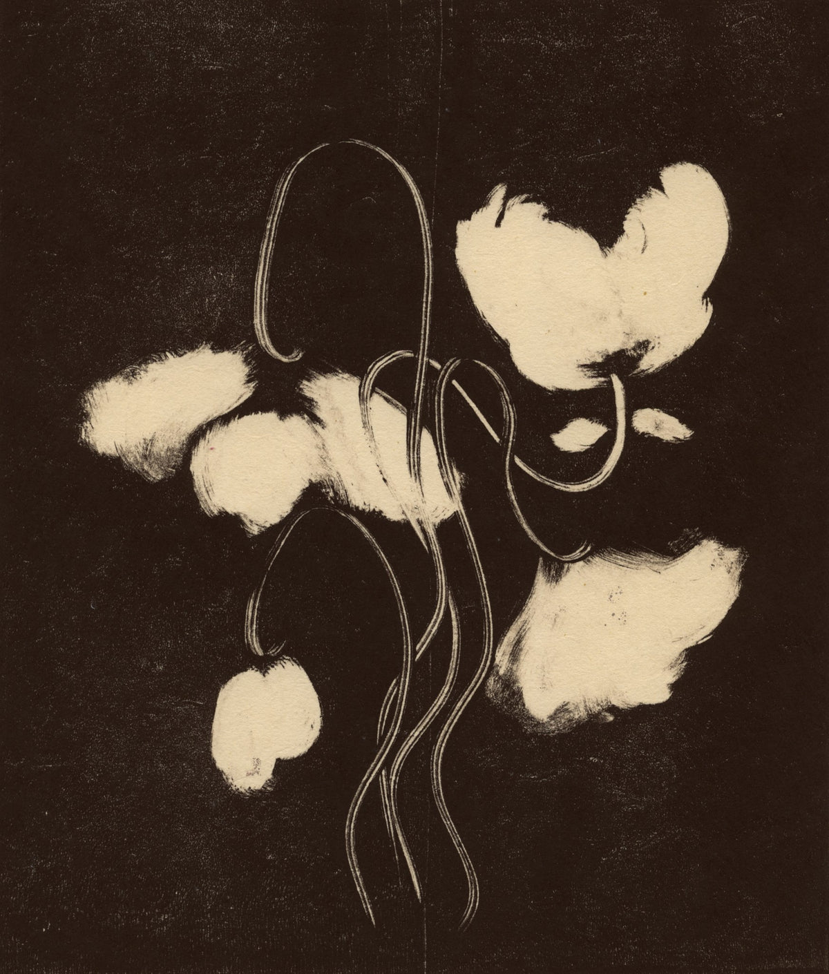 'Bloom II-IV' | monotype drawings by Heidi Hundseth Hart — close-up