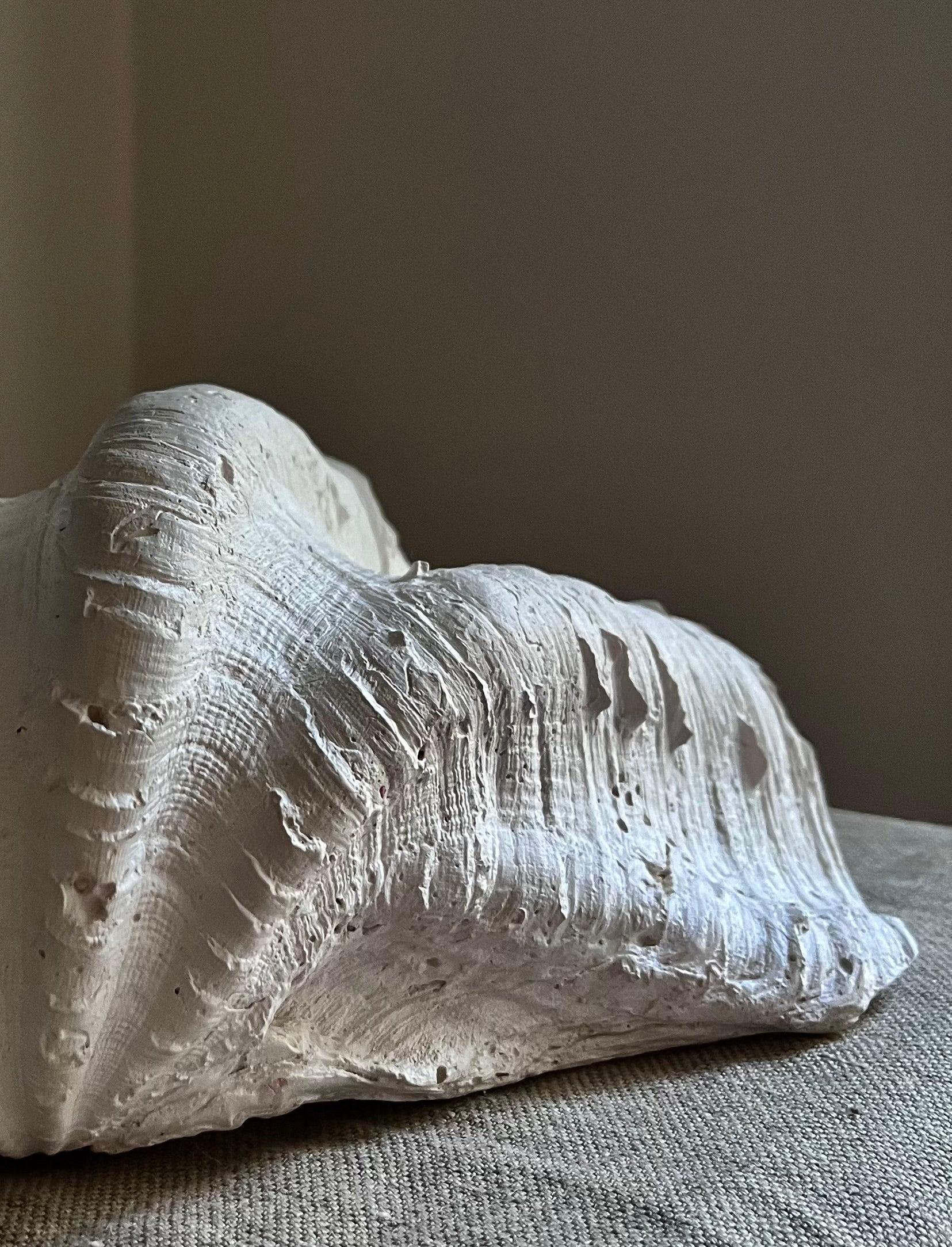 Clam Shell Bowl - Handmade Plaster Sculpture