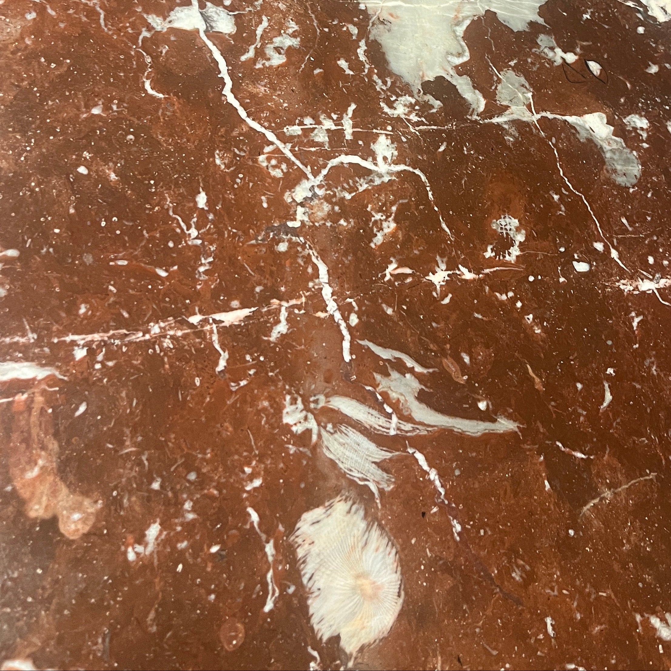 Pair of Art Deco Belgian Parquetry Cabinets with Rose Marble Tops — close-up of rose marble surface