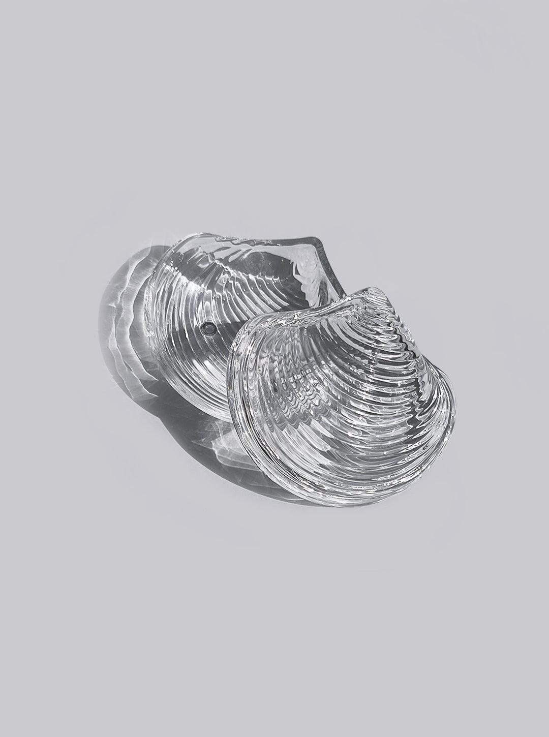 Shell Glass Box — detail view