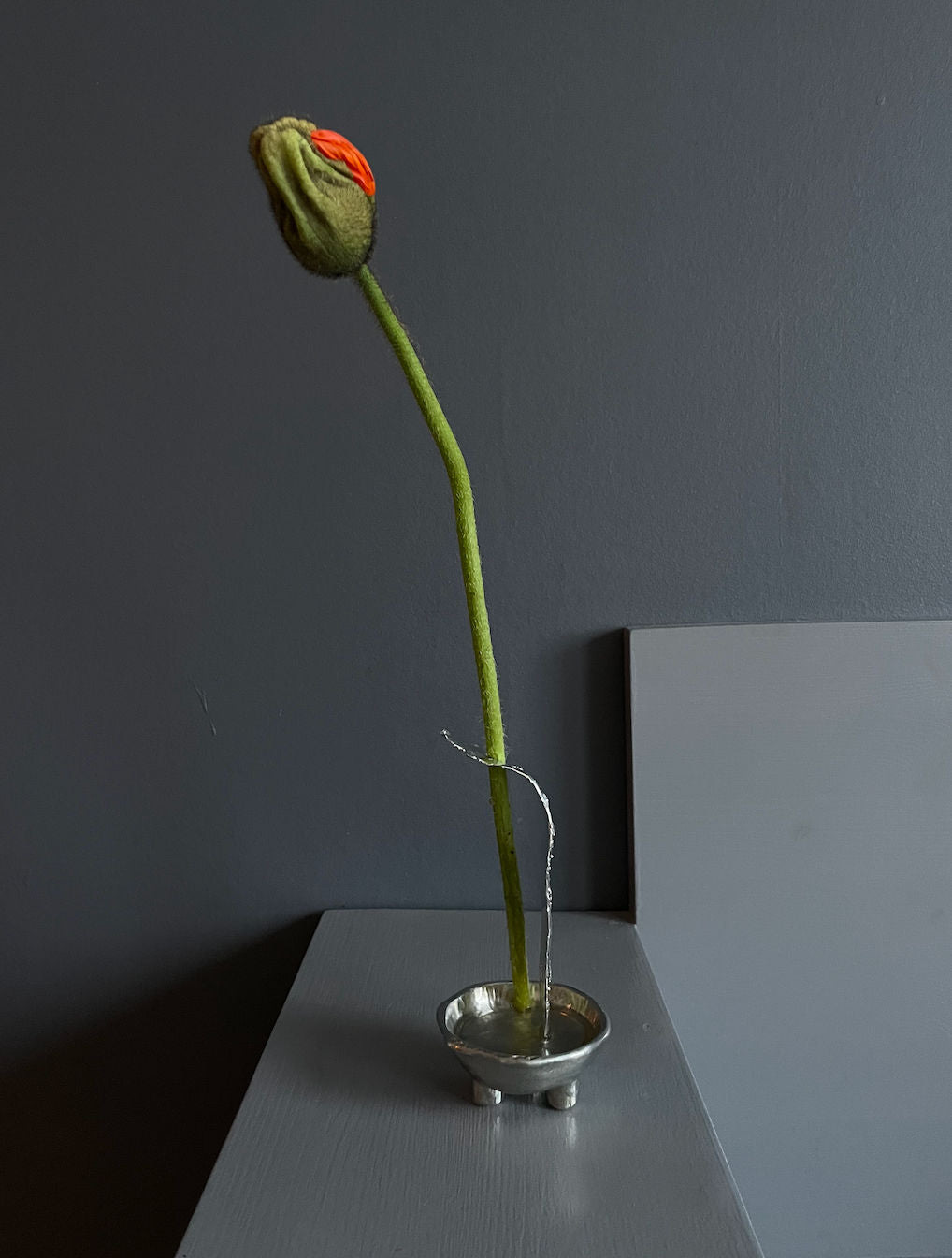 The Tin Collection / Favorite Vase