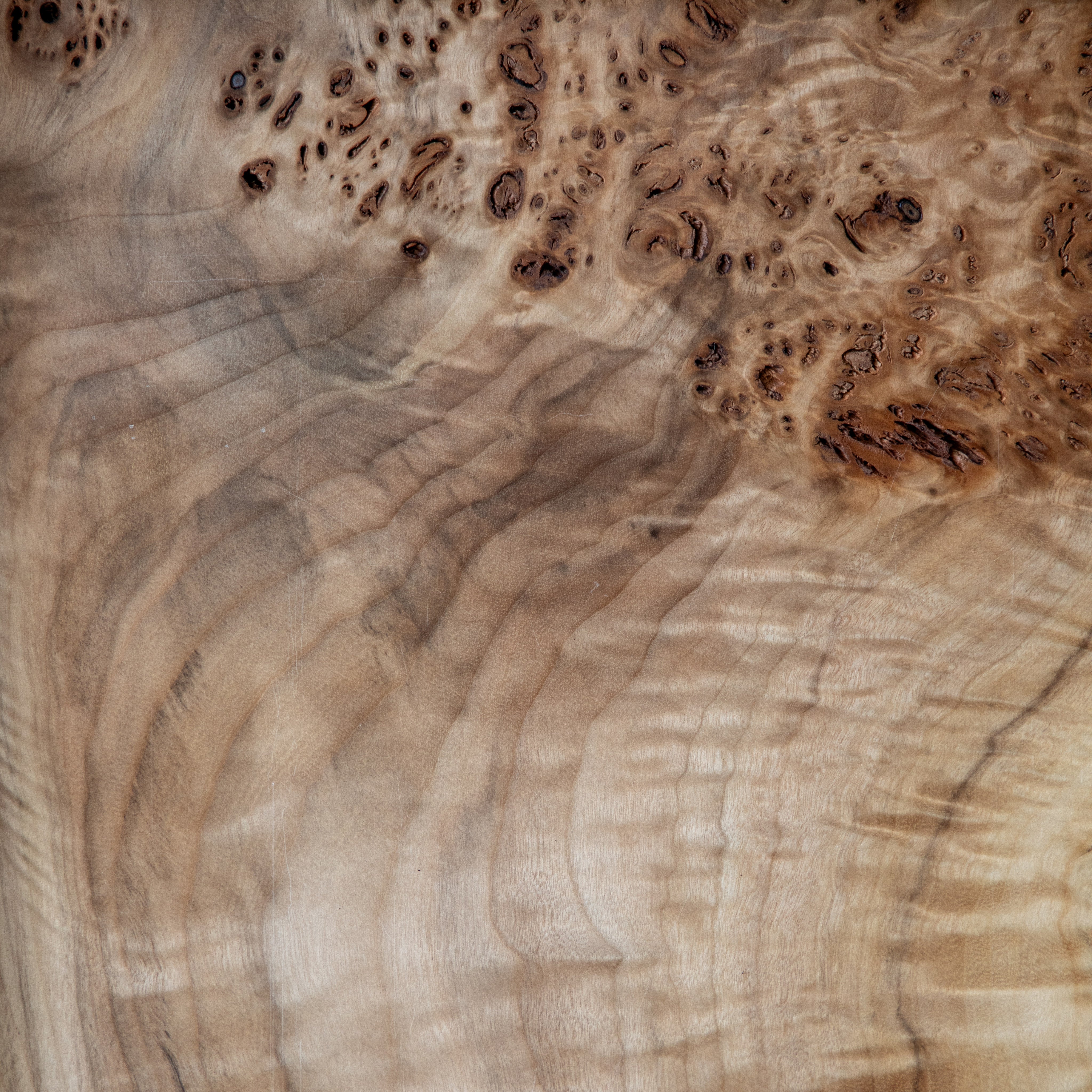 Elwha Cabinet — close-up of natural wood grain texture