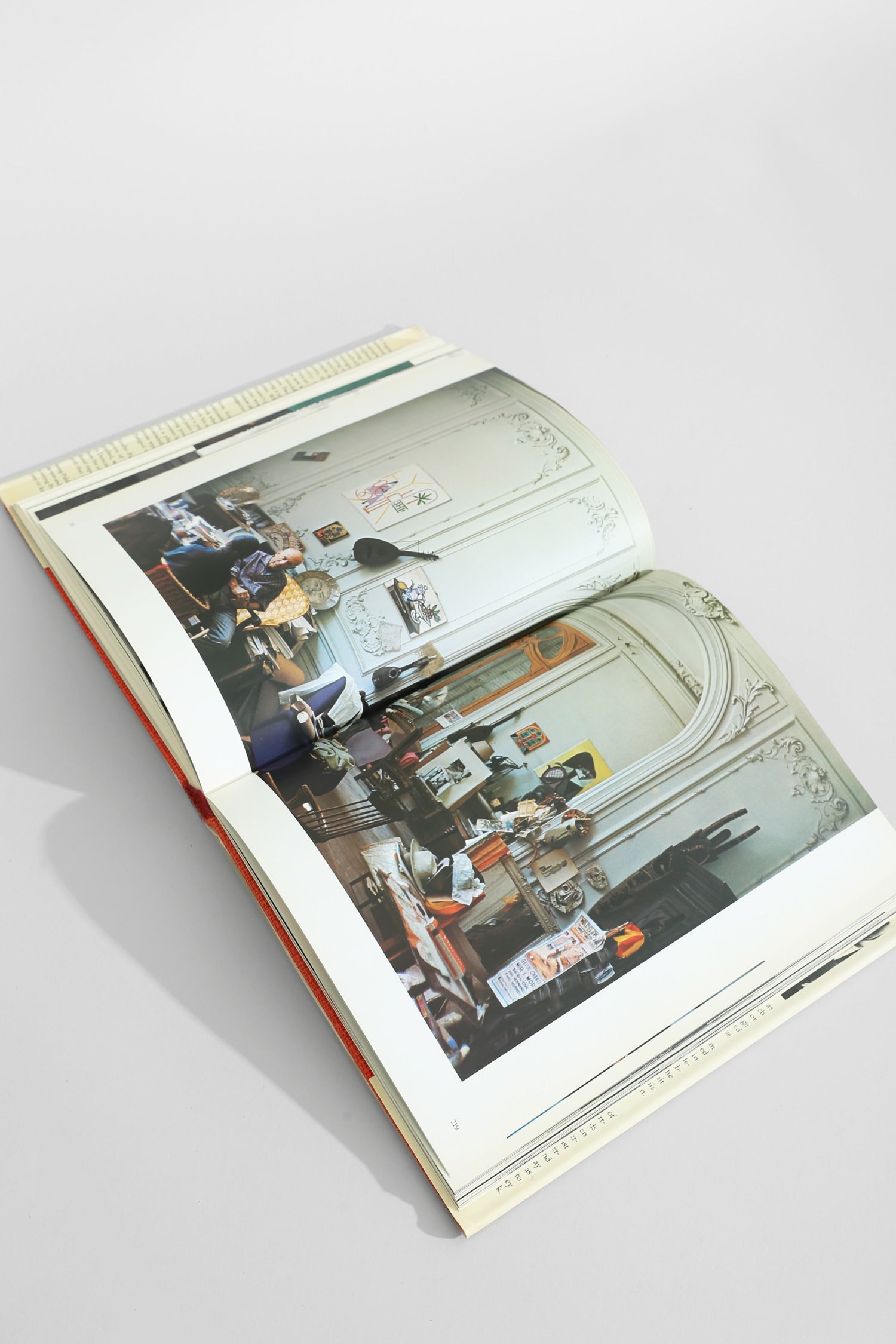 Goodbye Picasso Book — additional view