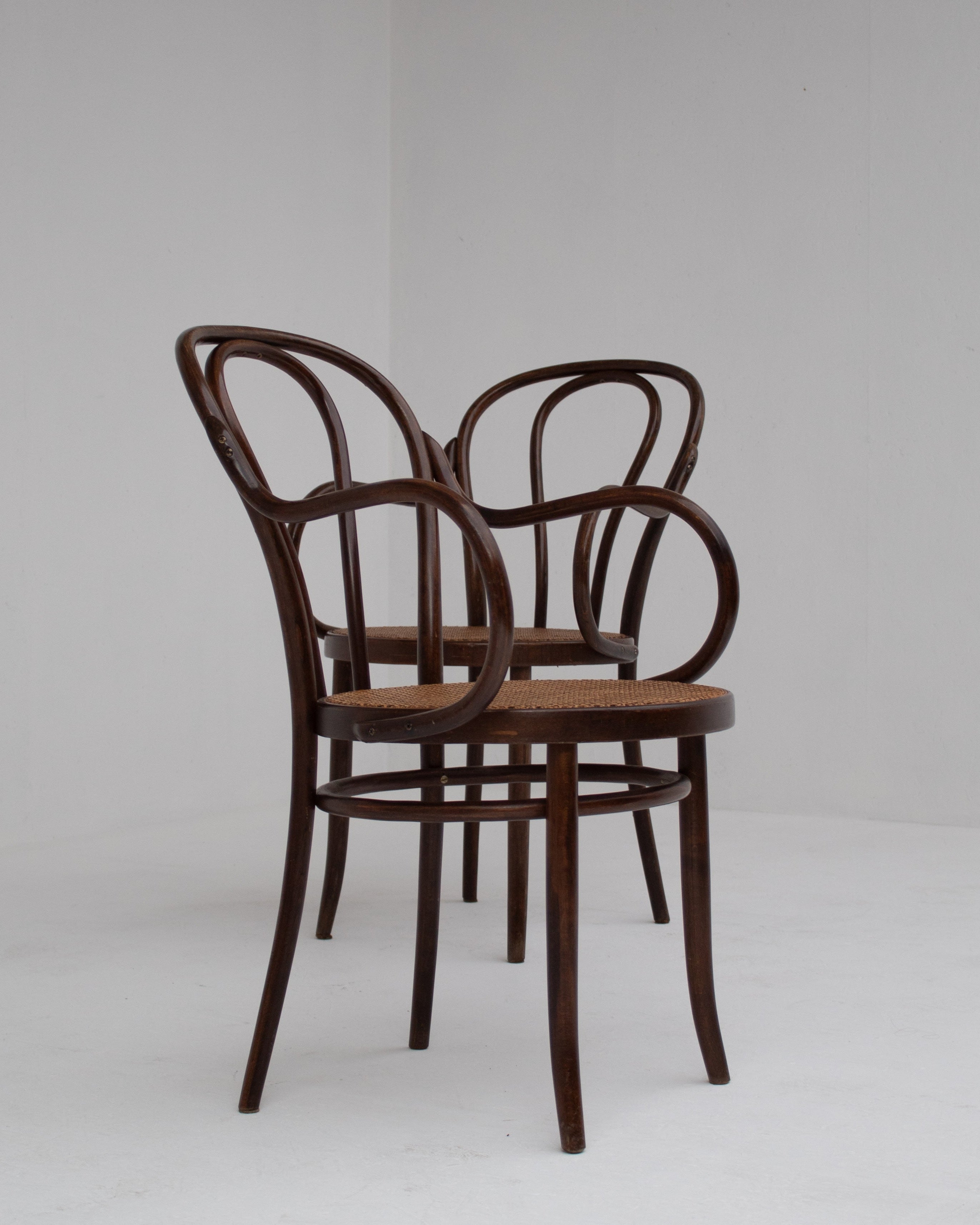 Set of Chair in Wood and Beech