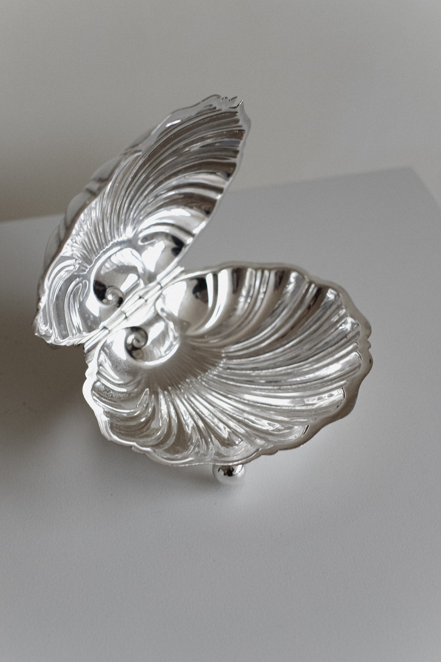 Large Shell Shaped Dish — top view of polished silver surface