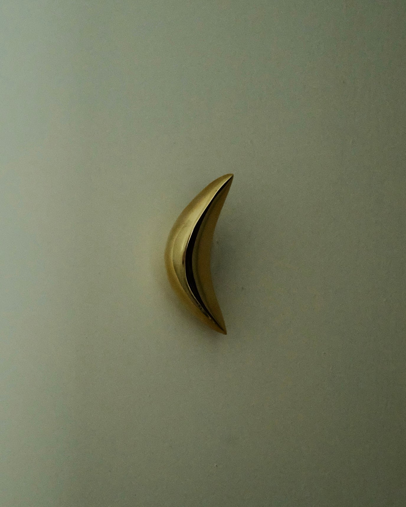 PETAL Knob/Hook — close-up of gold metal surface on wall