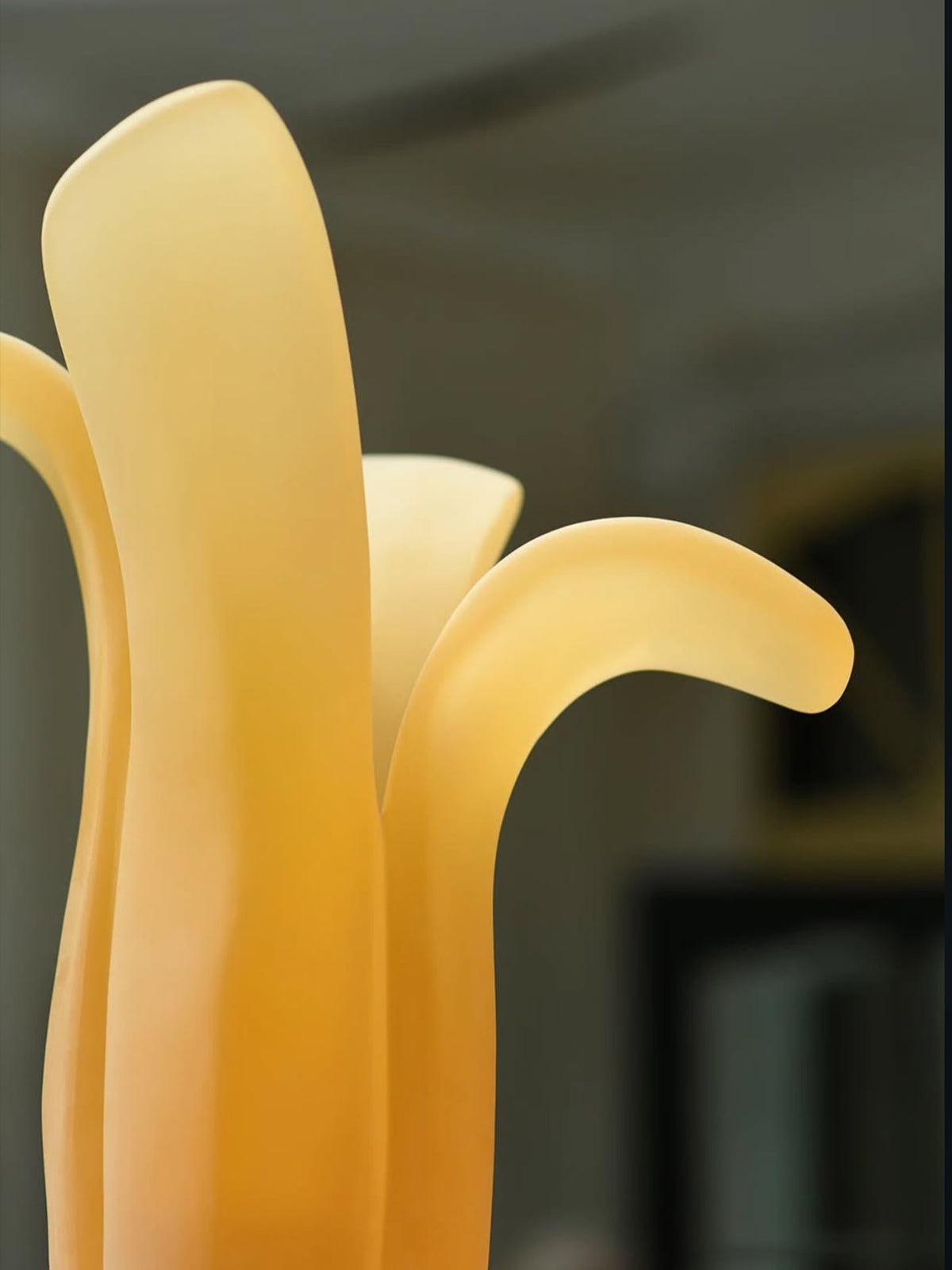 Velis Vase — lifestyle setting