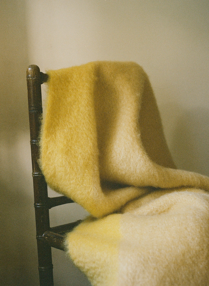 Edition 02 - BRUME AMBRE by The Wren | The Oblist