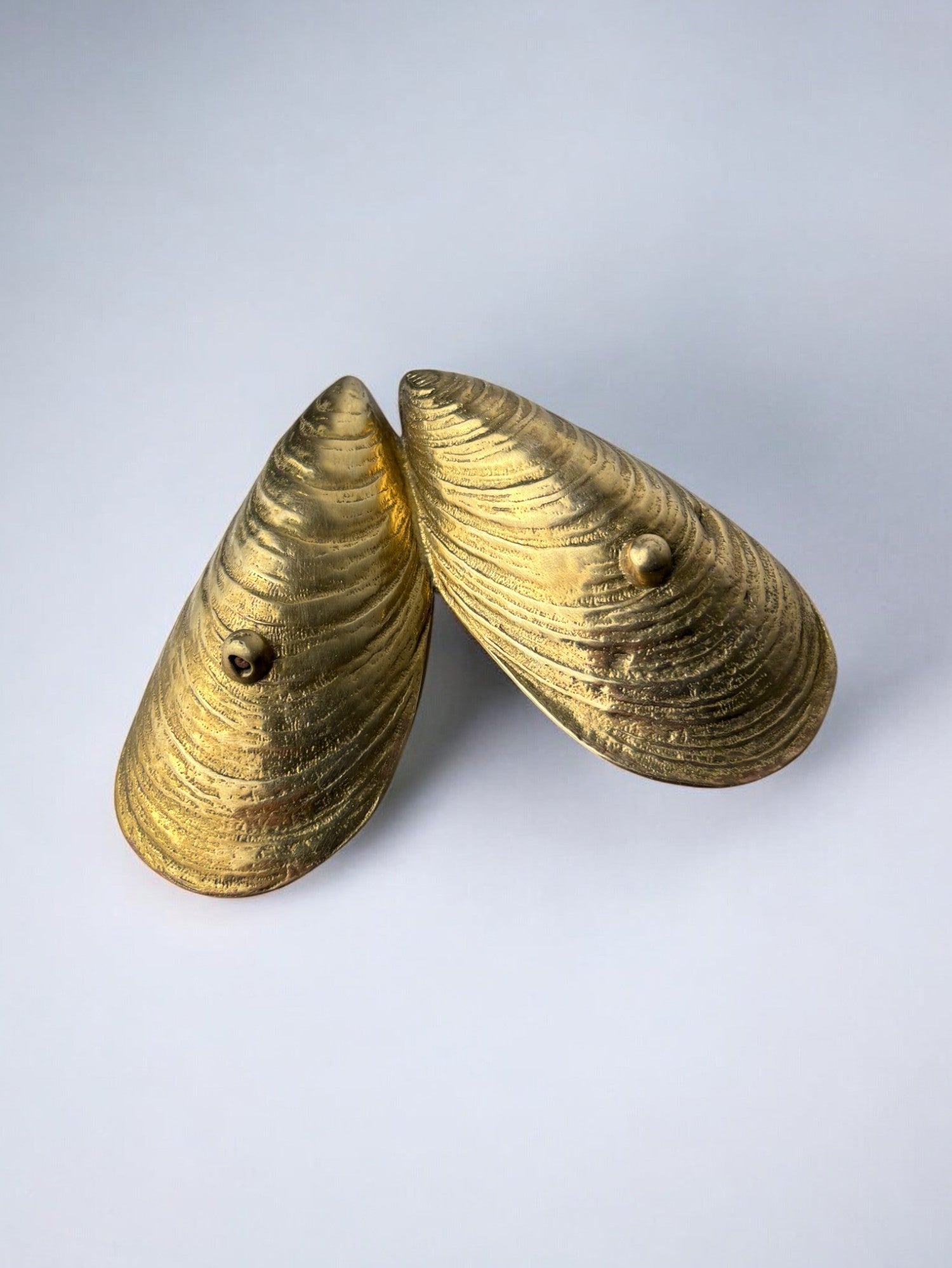 Mussel Shell Vide-Poches in Bronze, Italy, 1970's — angled view on light background