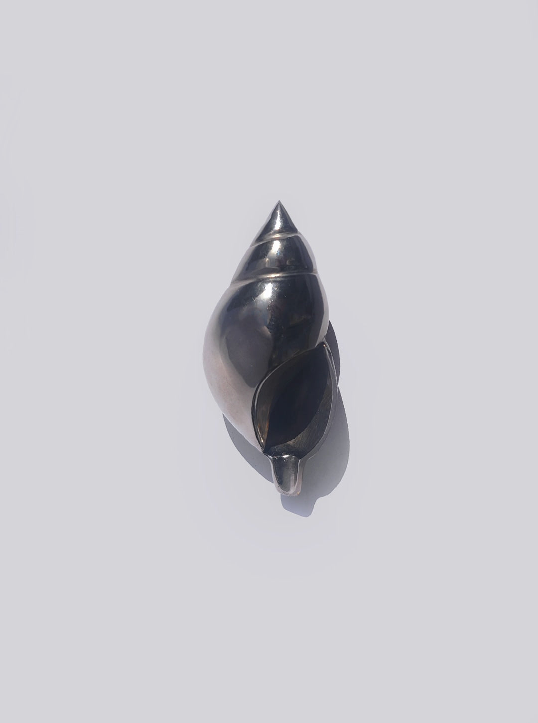 Small Shell Ashtray — side angle