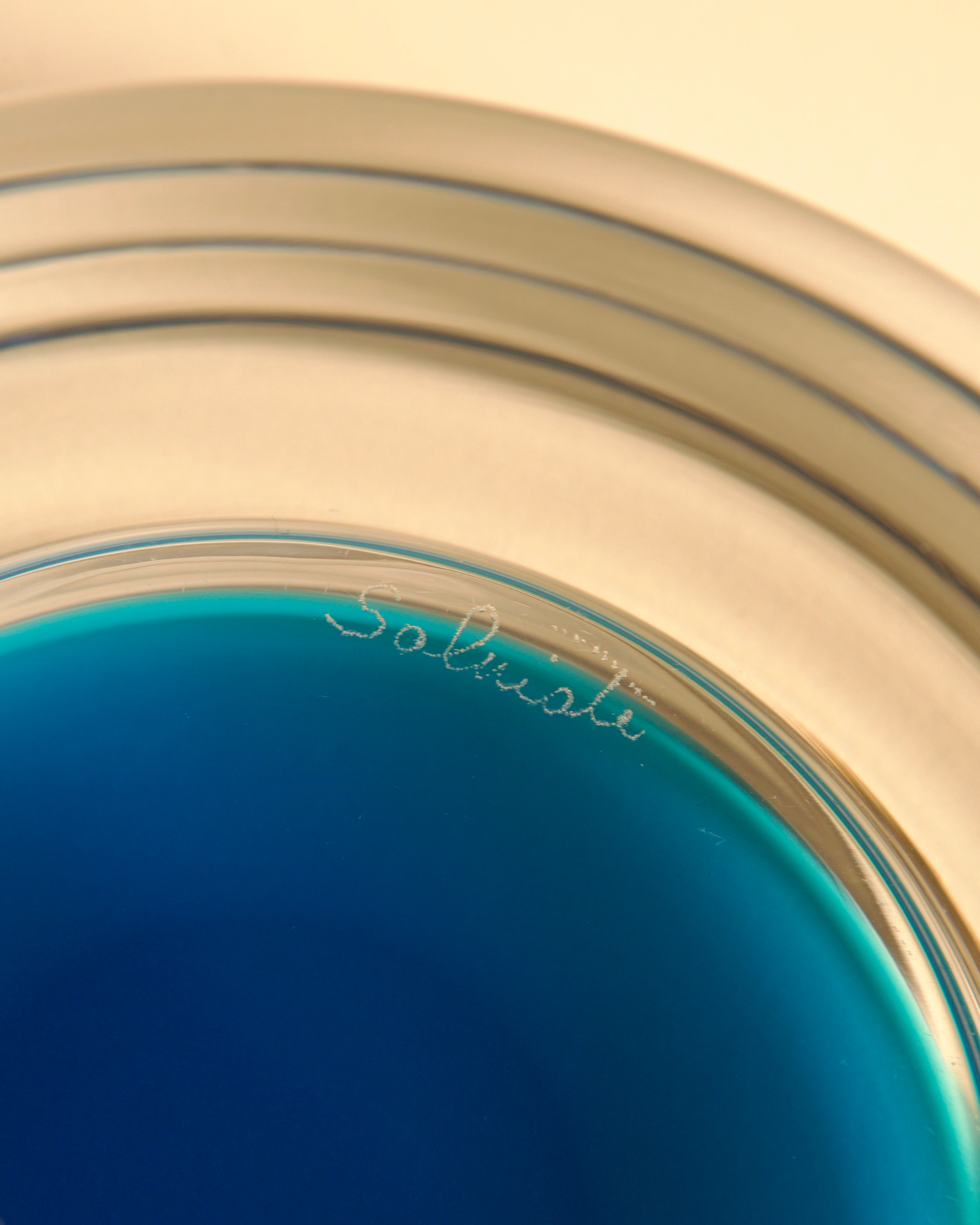 Detail of blue Murano glass tray showing Salviati signature marking