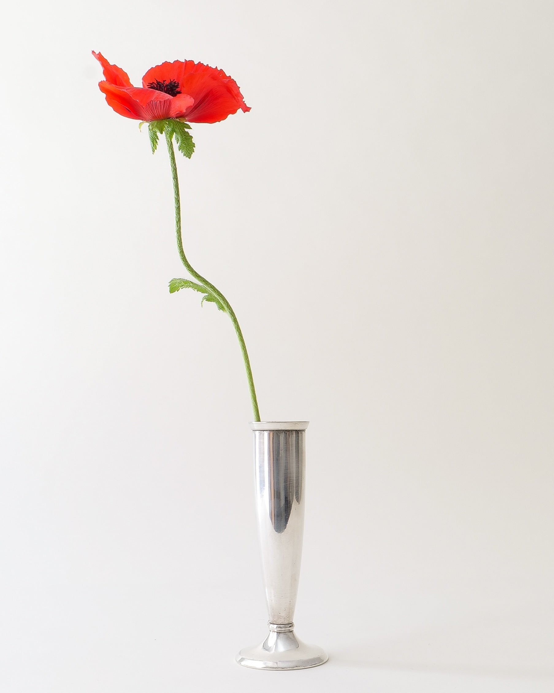 Gio Ponti Arthur Krupp Soliflore Vases 1950s — side angle