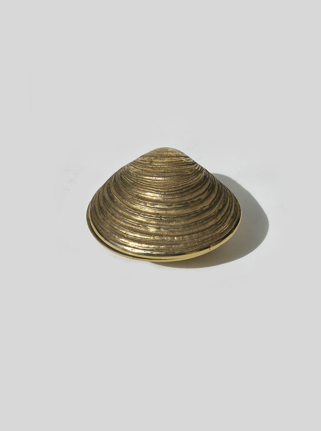 Shell Brass Box — angled view highlighting textured brass surface