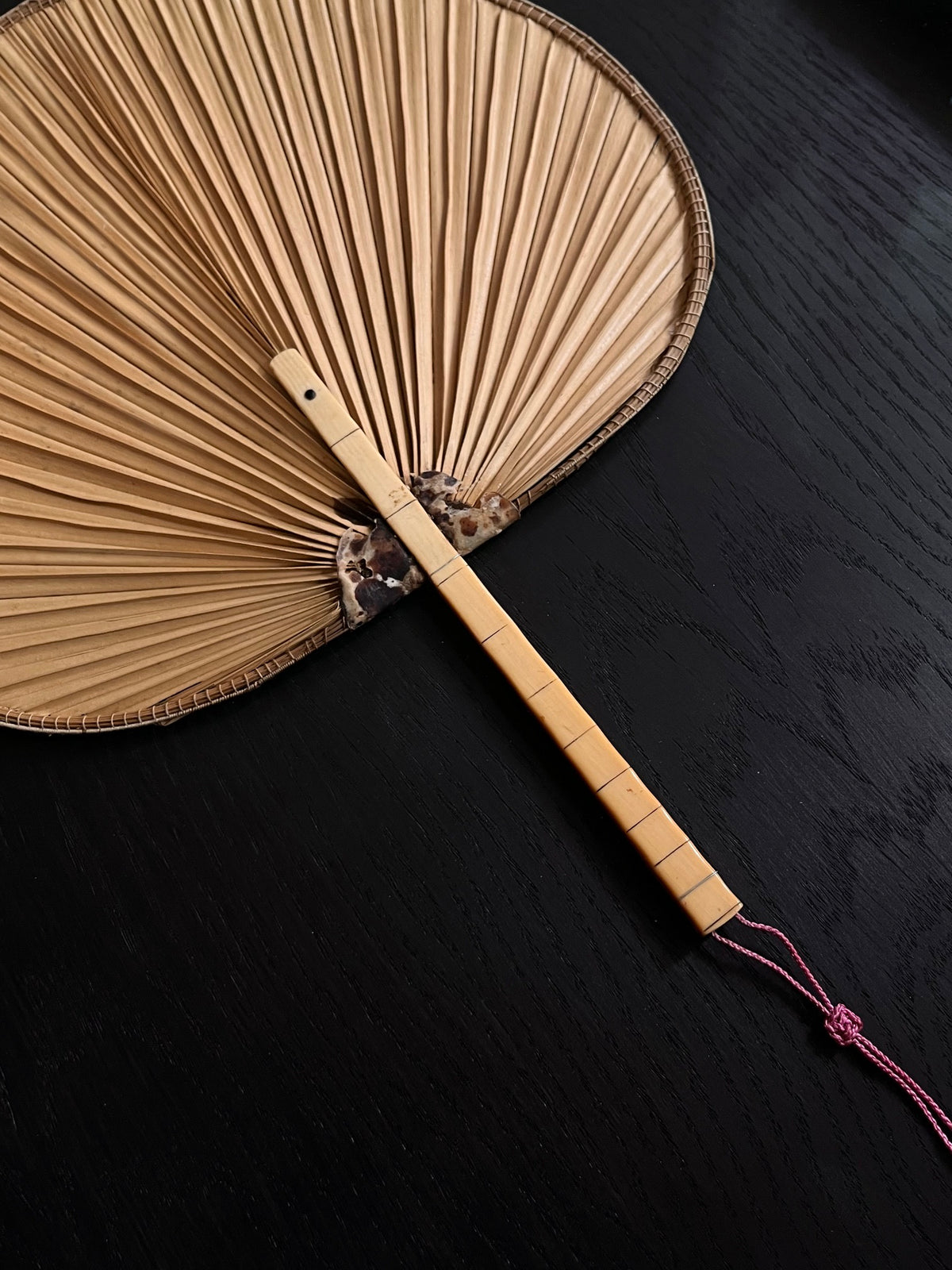 Antique Palm Leaf Fan in Frame — side angle