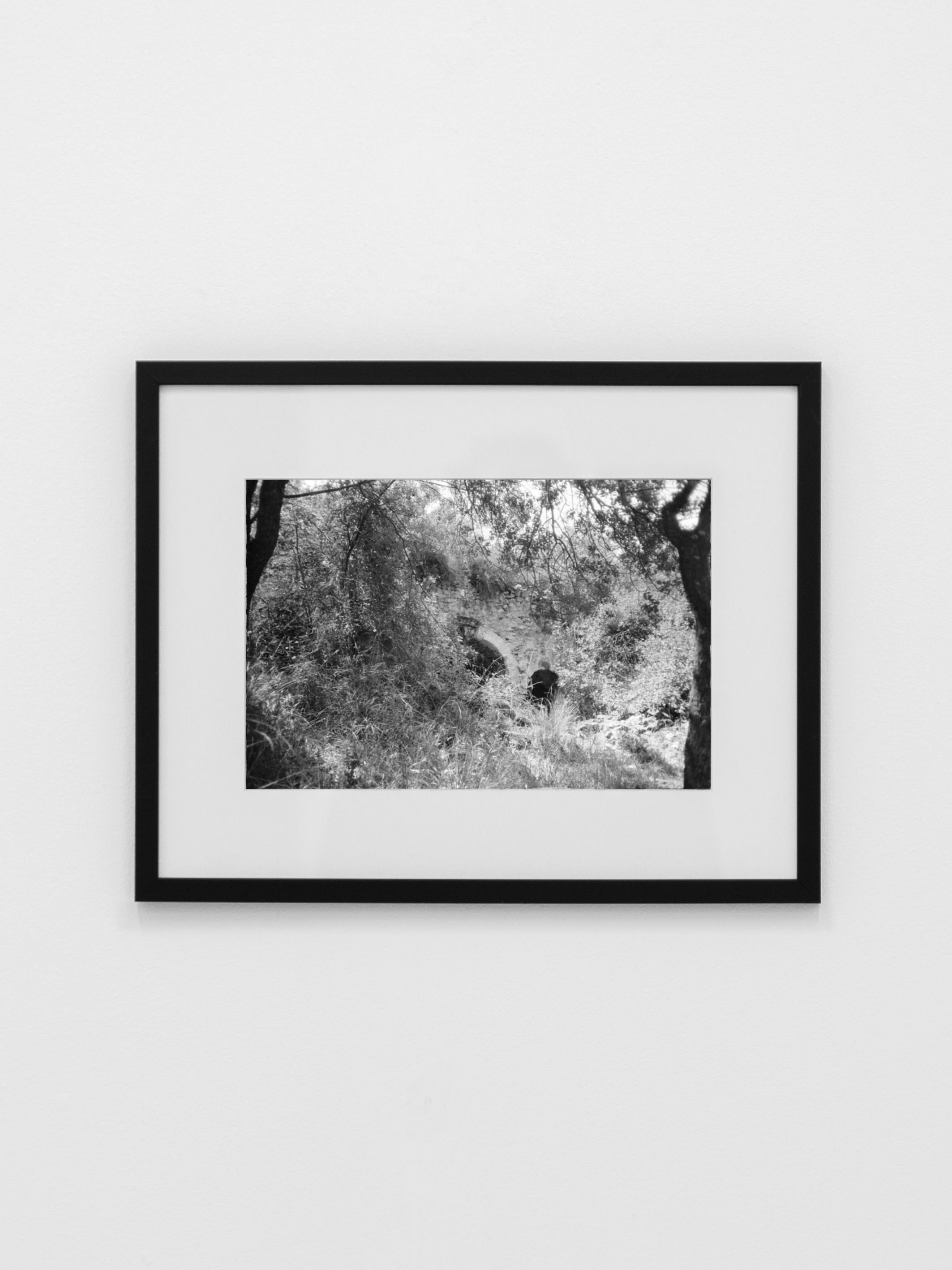 Memory #10 — Contemporary Photography by COSEINCORSO features a wooded scene with two people walking, presented in a sleek aluminium frame on a plain white wall.