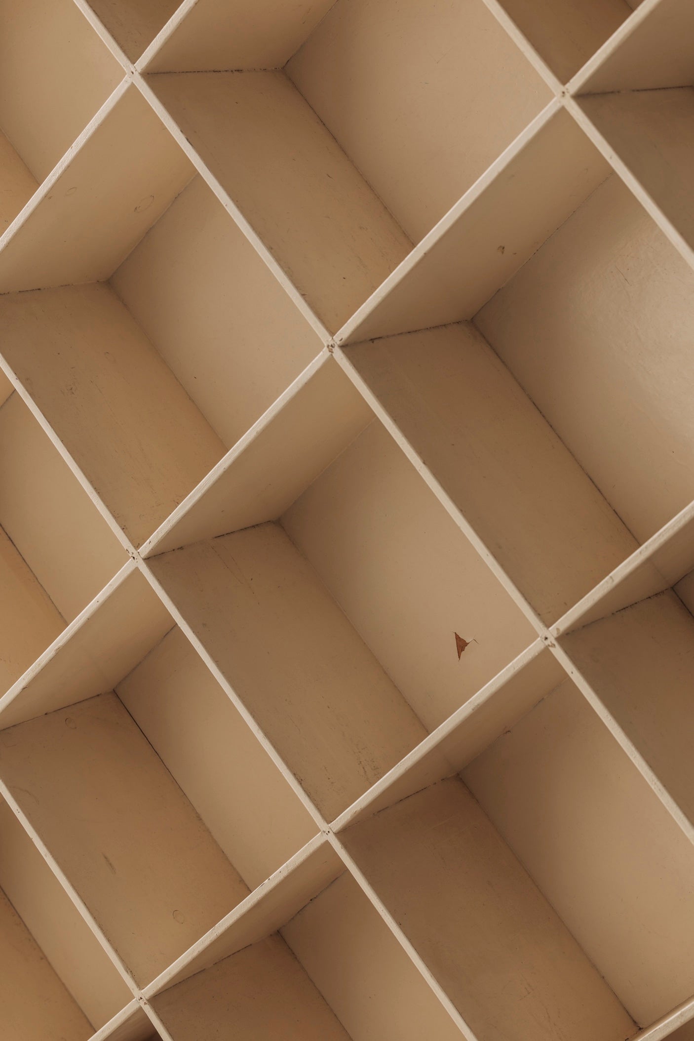 Geometric open bookcase, France 1950s. — close-up