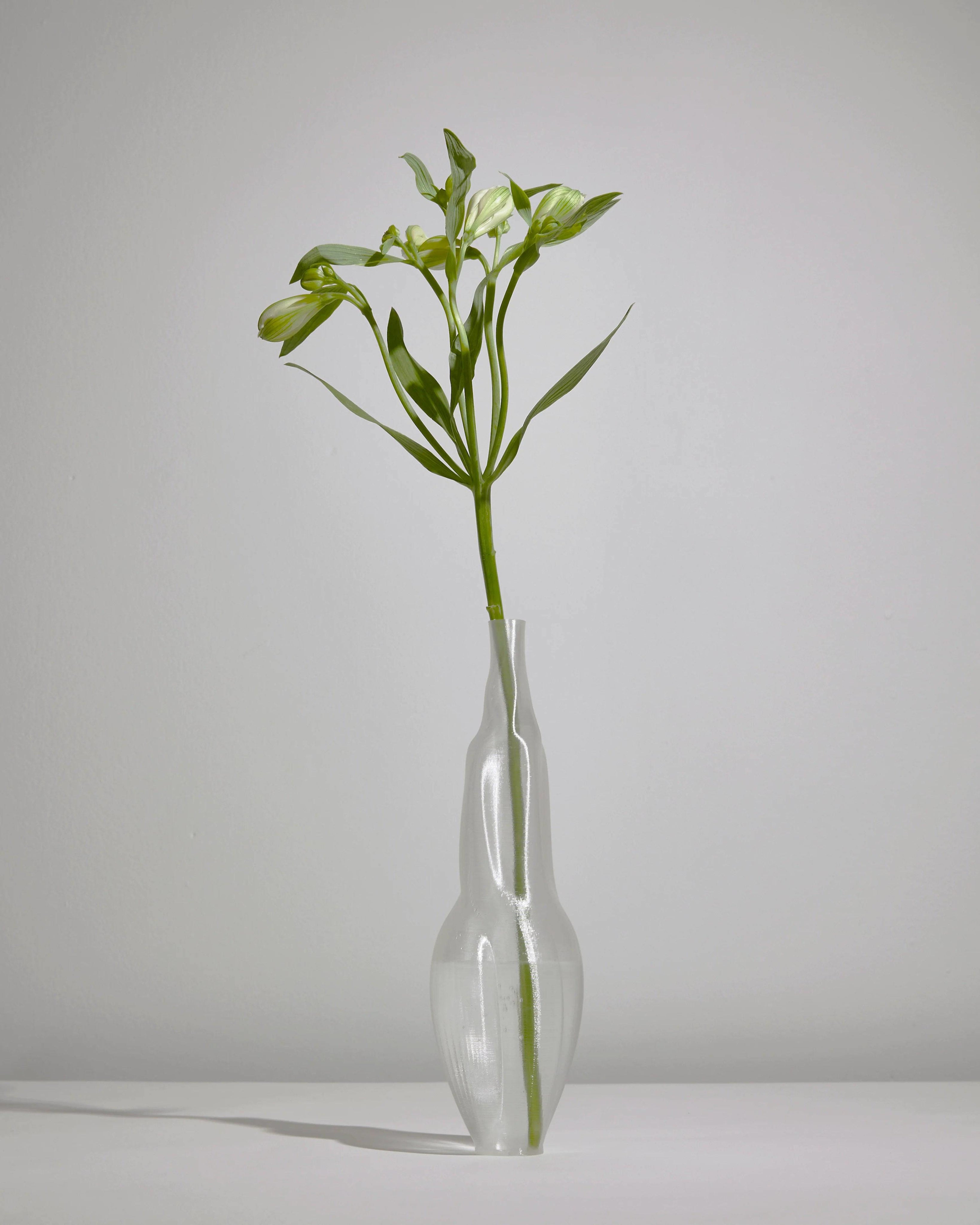 Éson Vessel — clear glass vase with flowers on white surface