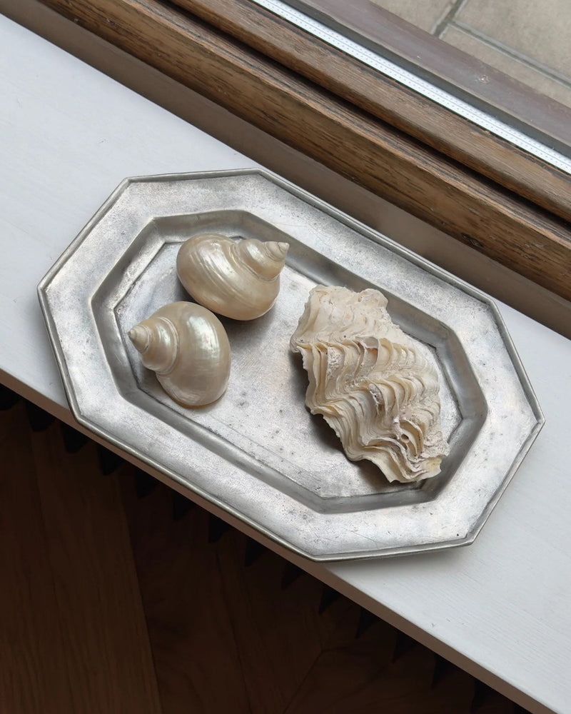 Octagonal Pewter Plate, Late 19th/Early 20th Century — close-up with seashells on window sill