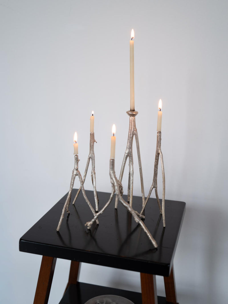Botanical Candle Holders in Brass and Silver by Daniel Swarilov | The Oblist