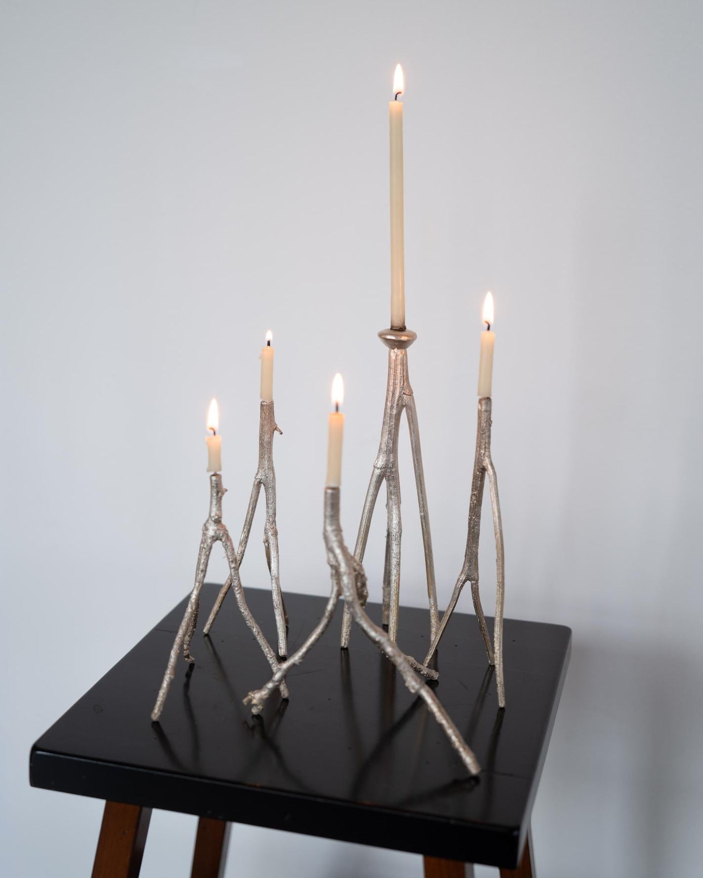 Botanical Candle Holders in Brass and Silver by Daniel Swarilov | The Oblist