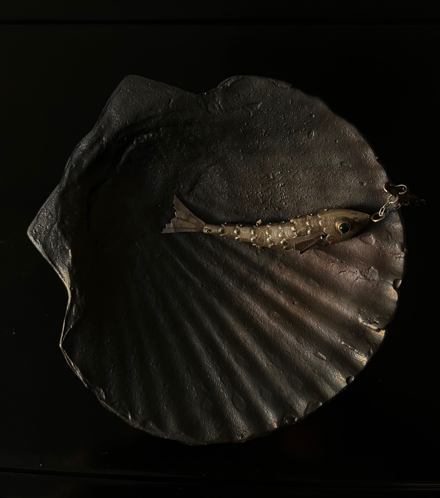 Plaque de Coquille Fossile