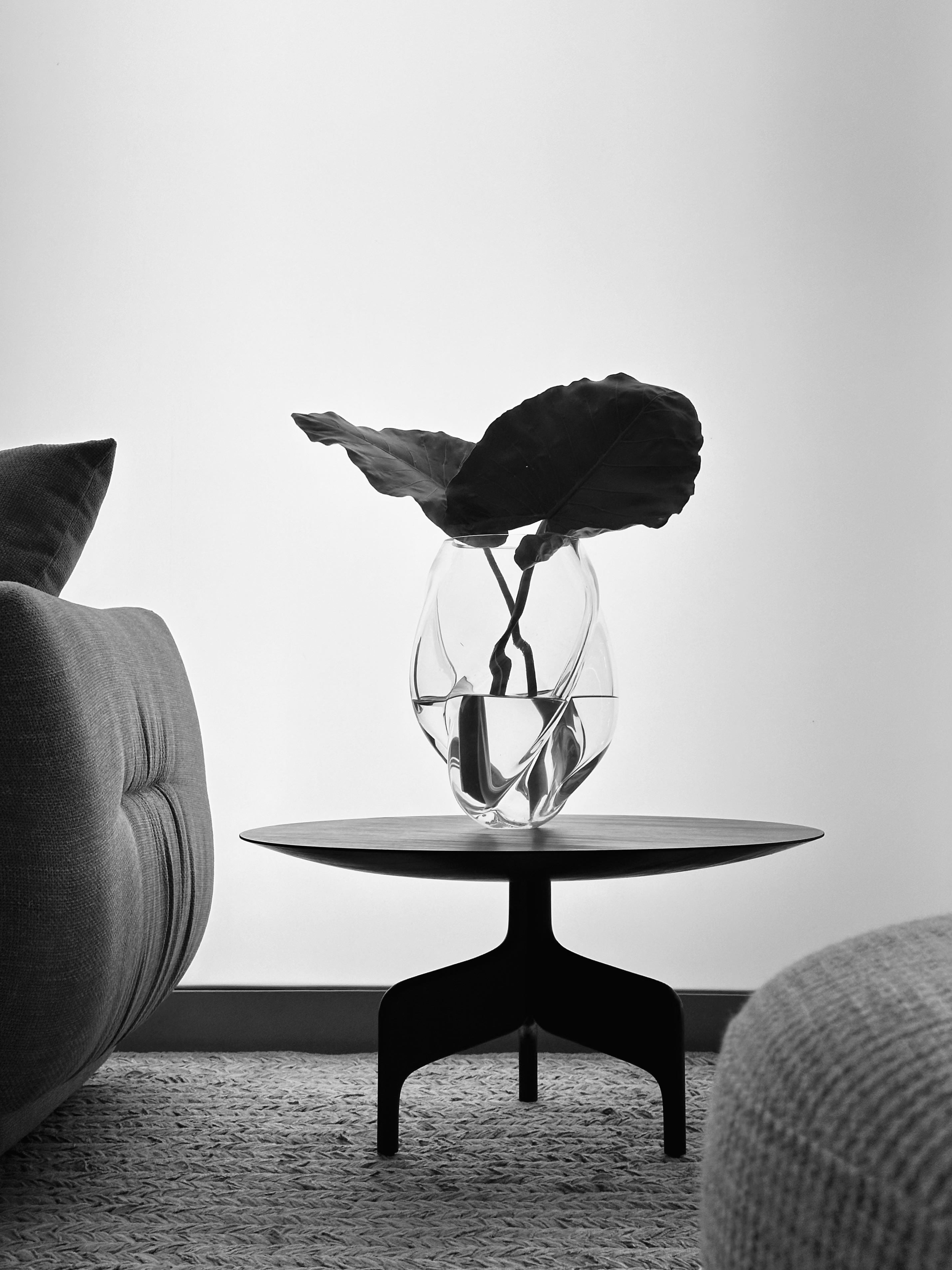 The "Alaia" Table by Luciano Costa Estúdio, made from solid jequitibá, holds a clear glass vase with large leaves and is placed between two textured sofas on a carpet, set against a plain, light background.