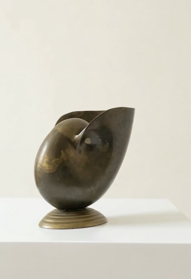  Sculptural Shell Vase — side angle