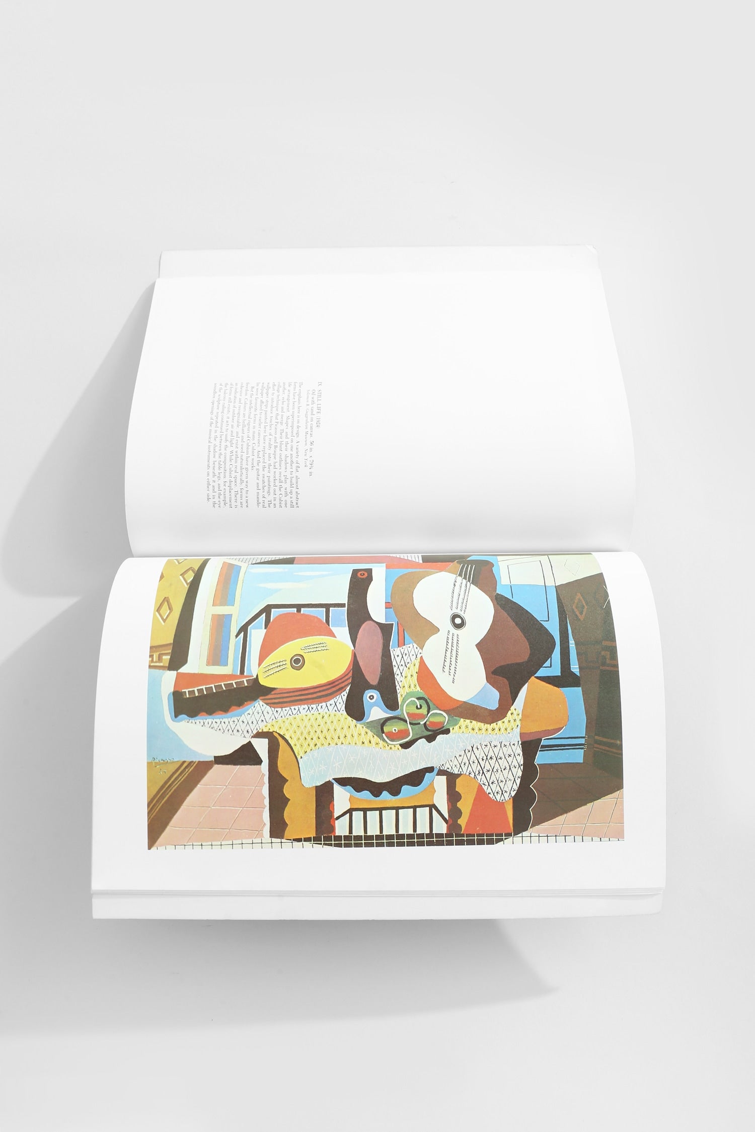 Picasso (The Great Artists) Book — close-up