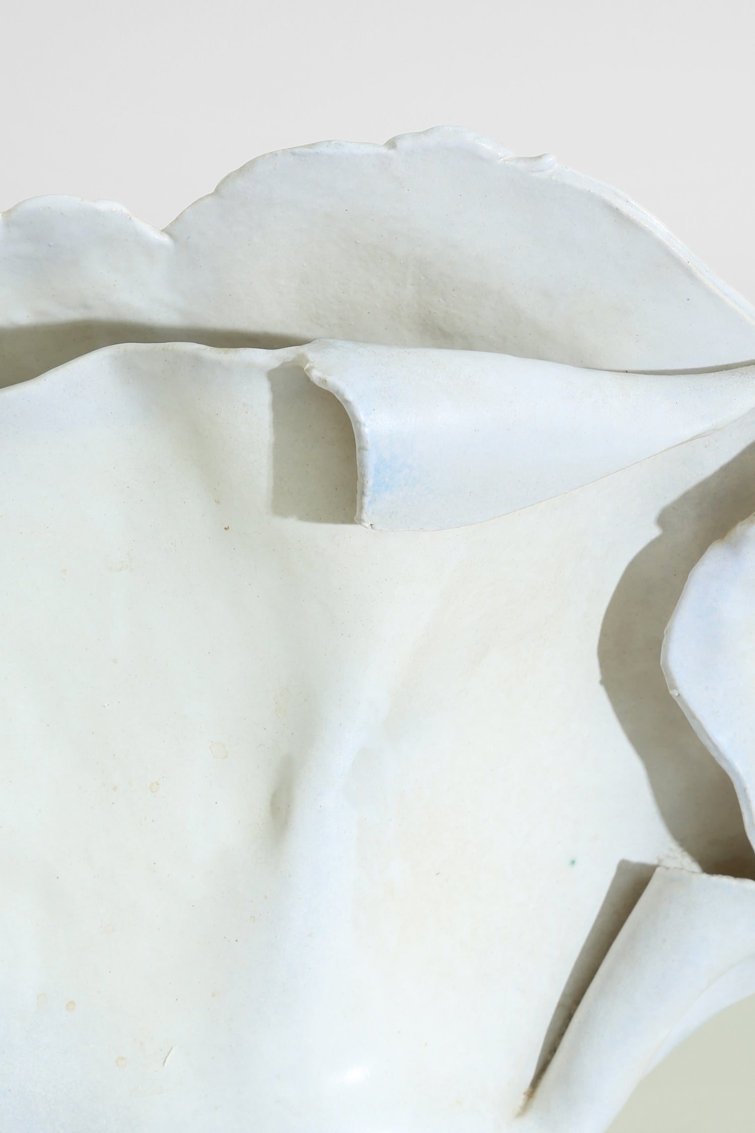 Organic Pottery Vase — lifestyle setting