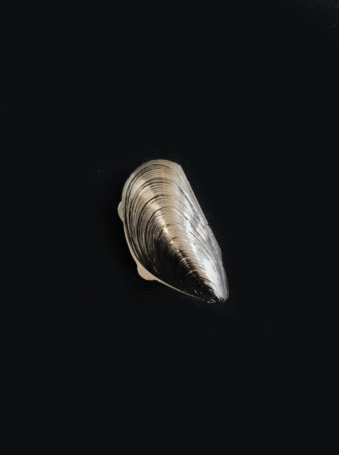 Small Shell Pill Box — side angle