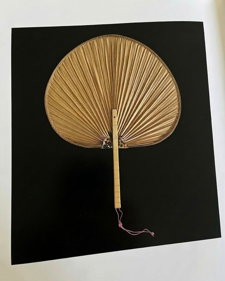 Antique Palm Leaf Fan by Médecine | The Oblist
