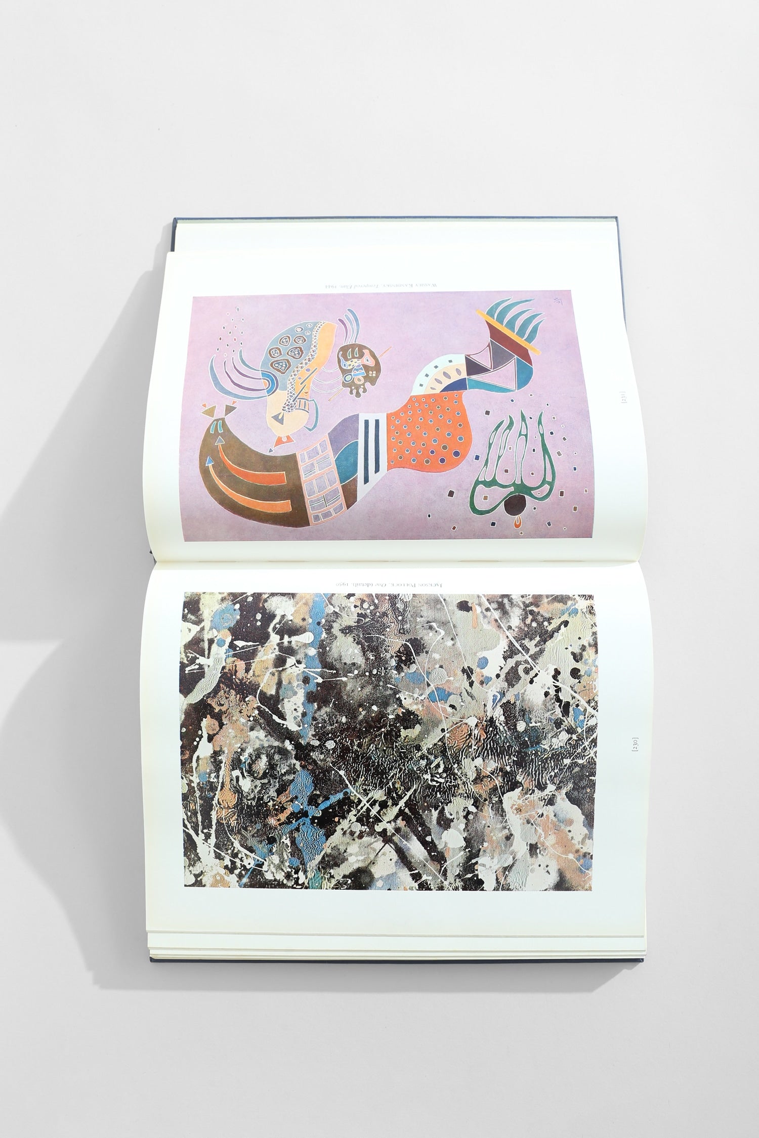 The Visual Experience Book — open view showing colorful abstract pages